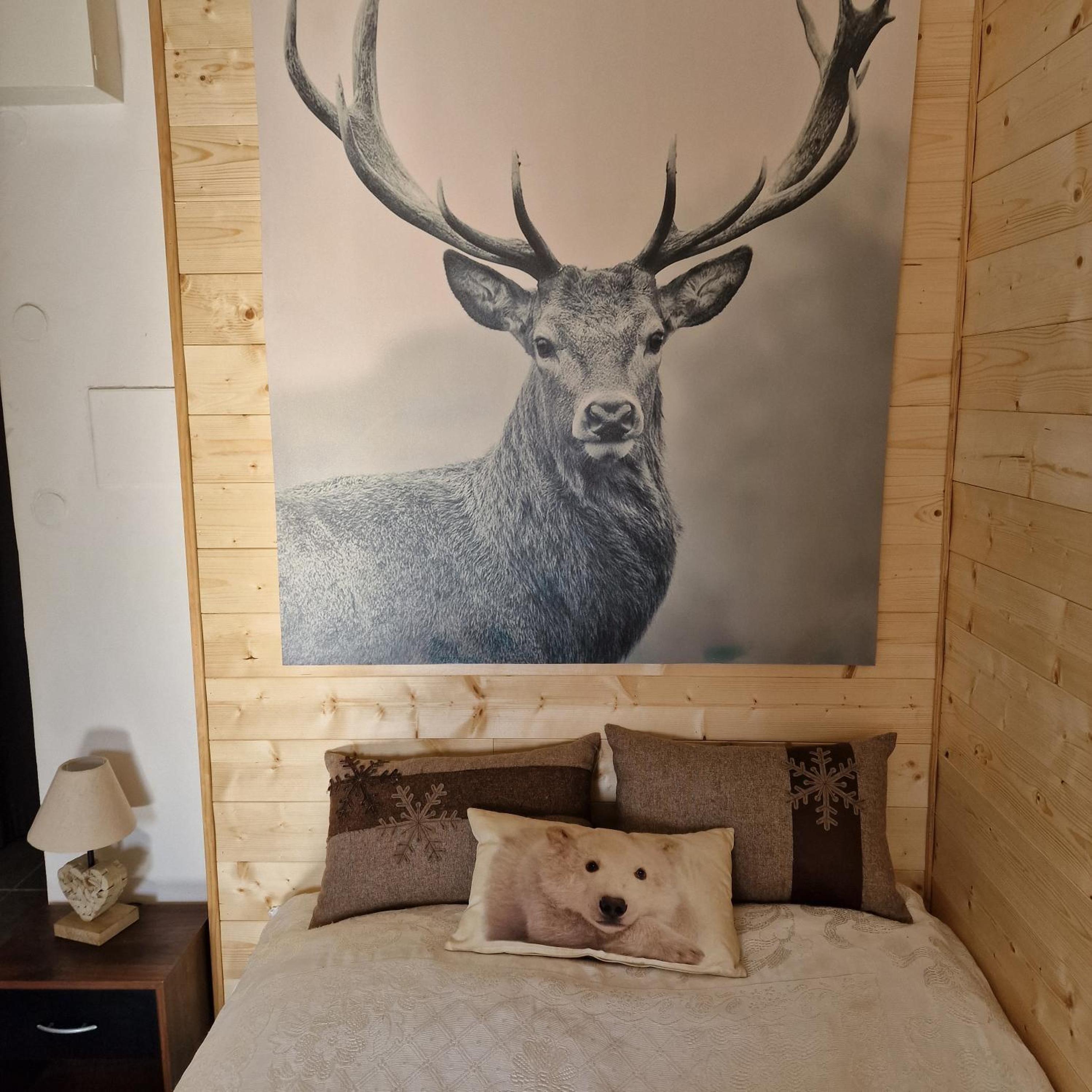One-Bedroom Apartment - Photo 3