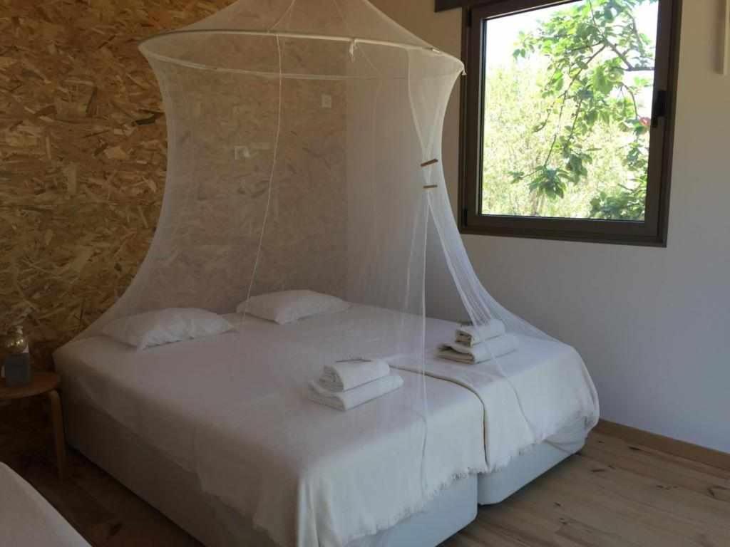 Suite with Garden View photo 1