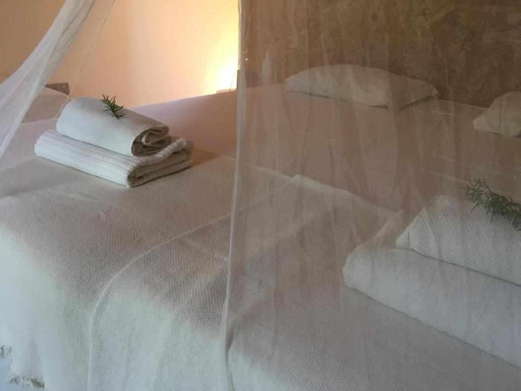 Suite with Garden View photo 2