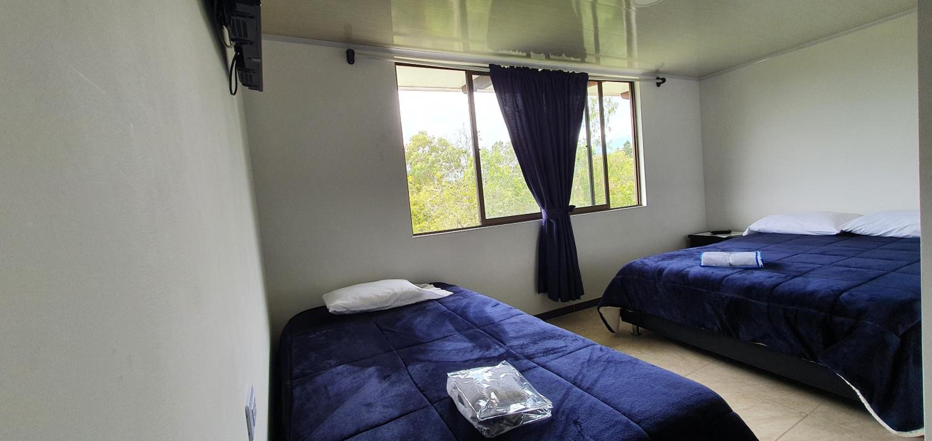 Large Double or Twin Room photo 2