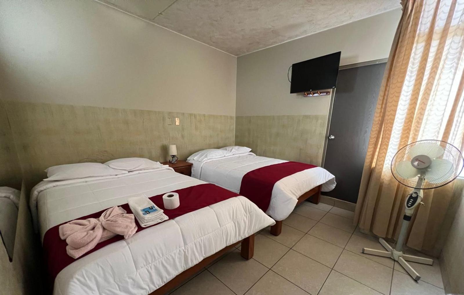Twin Room photo 2