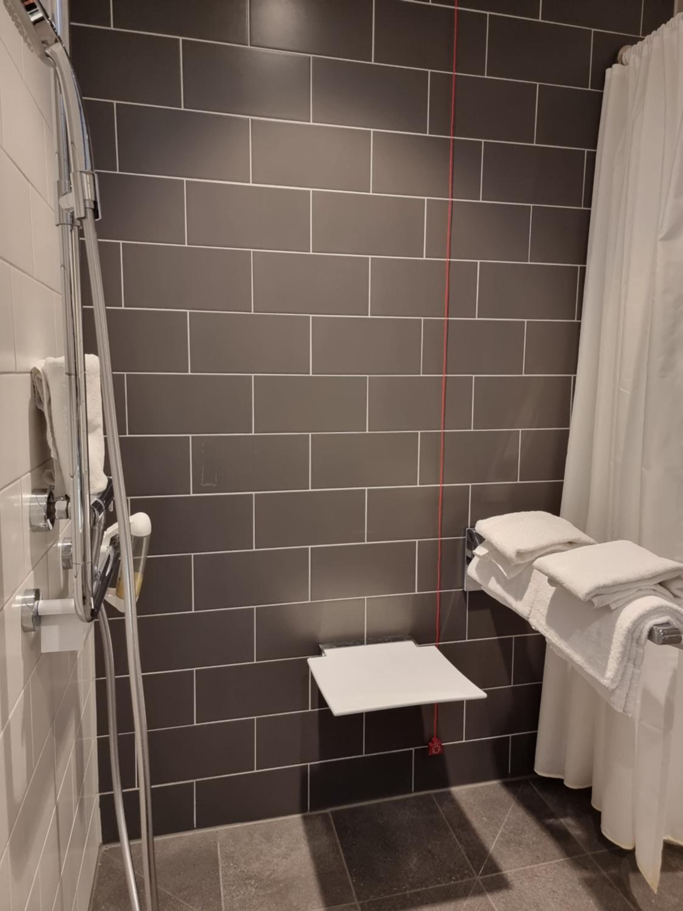 Standard Queen Room - Accessible - Photo 6