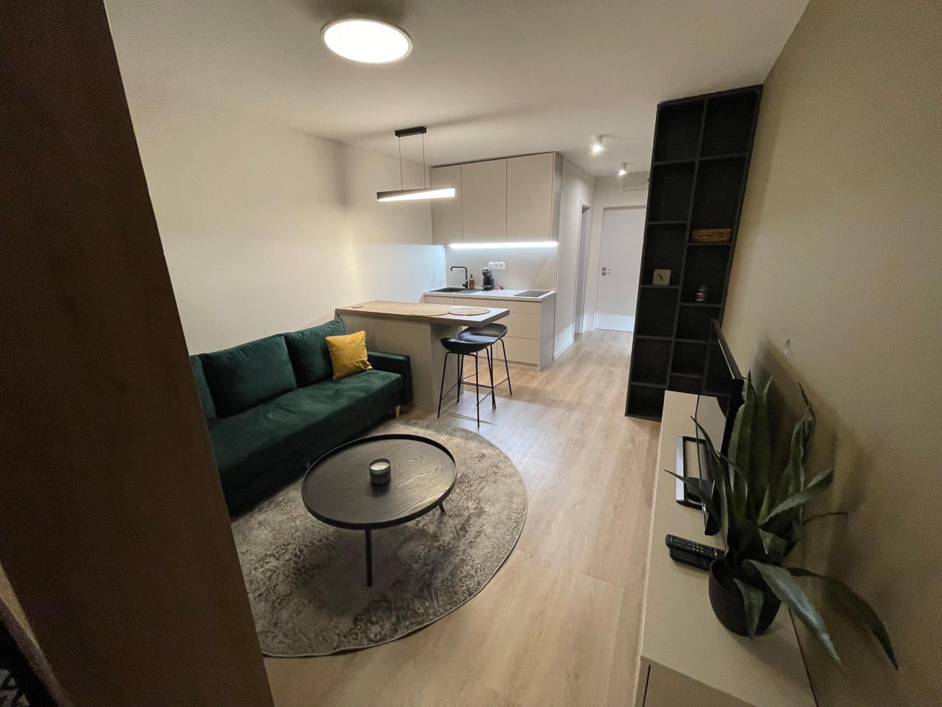Apartment With Lake View