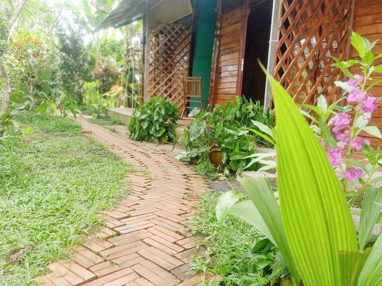 Deluxe Double or Twin Room with Garden View photo 3