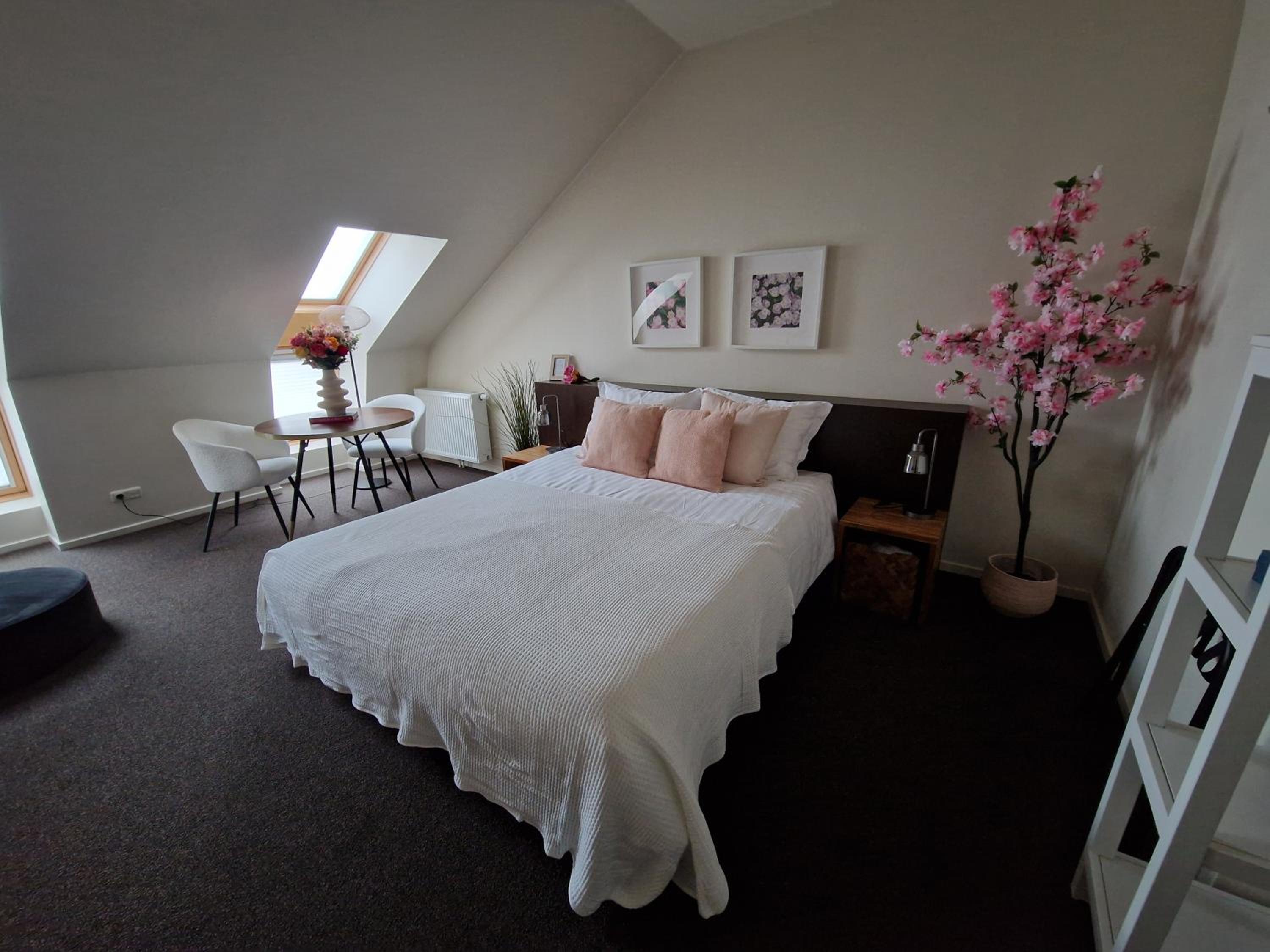 Superior Double Room - Photo 1