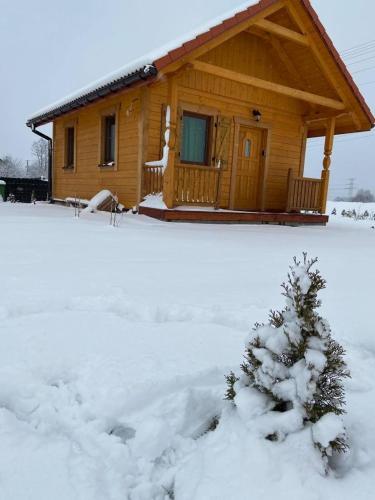 Chalet - Photo 22
