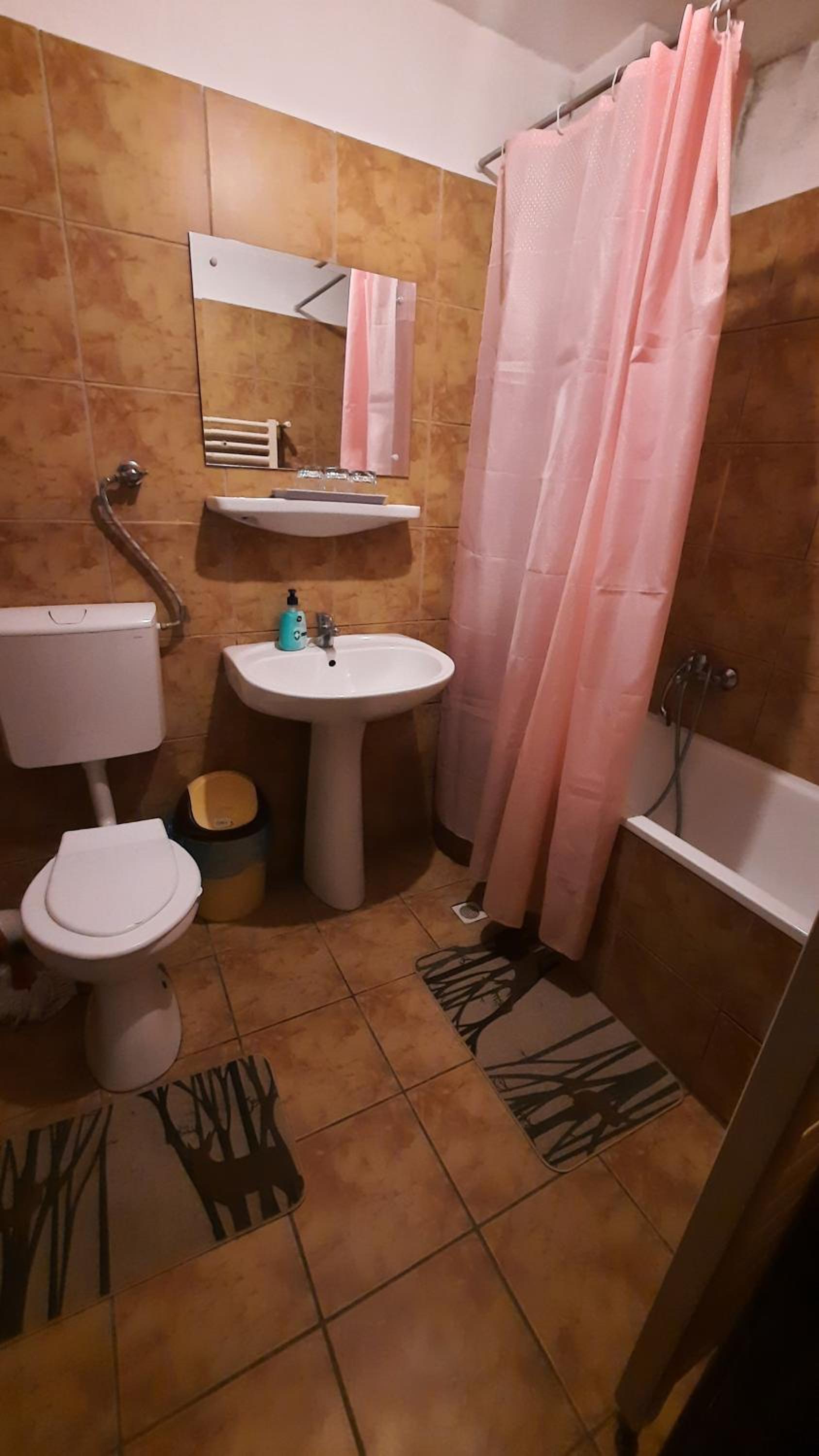 Two-Bedroom Apartment - Photo 5