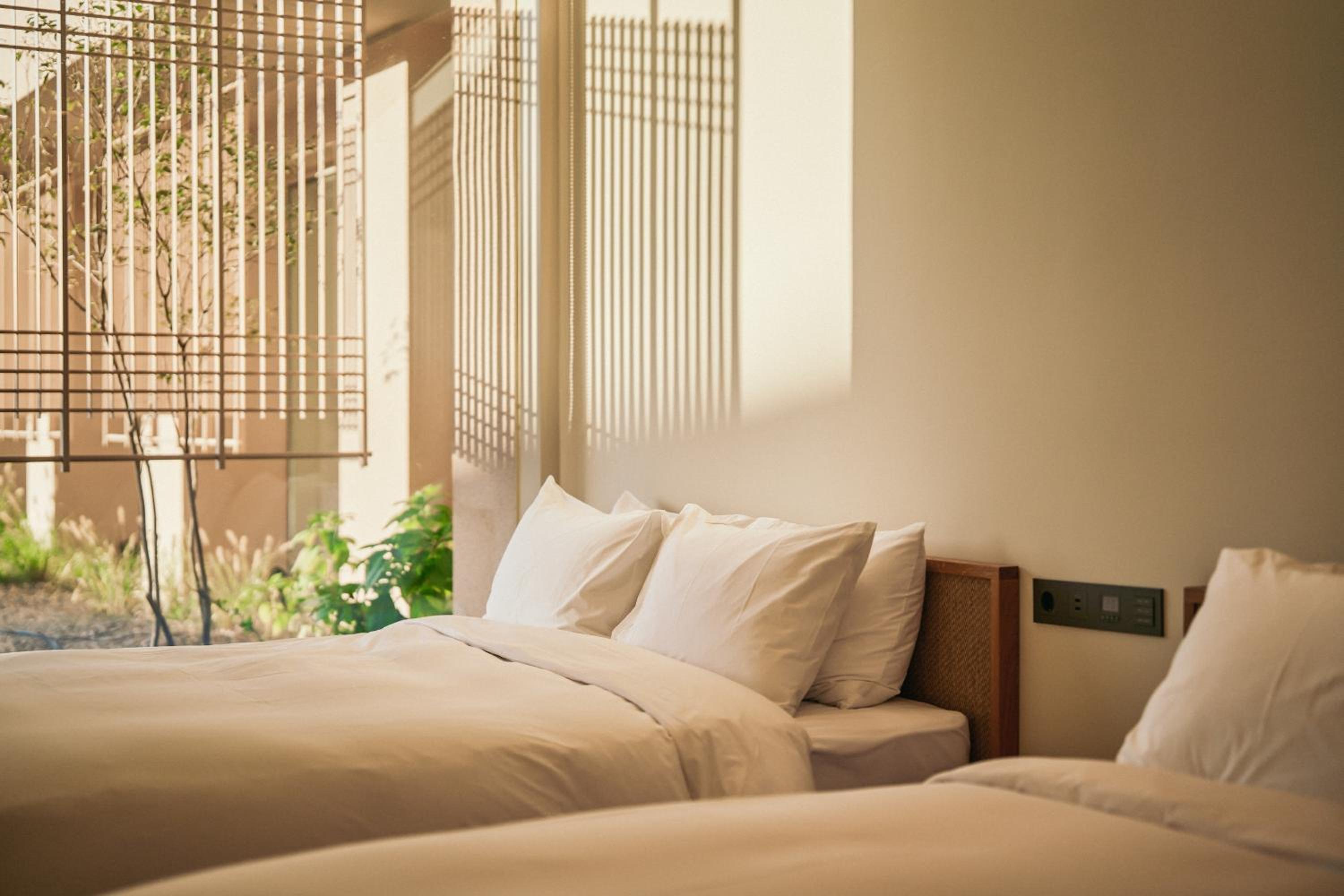 Deluxe Family Twin Room - Photo 5