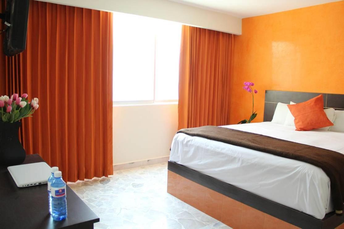 King Room - Photo 11