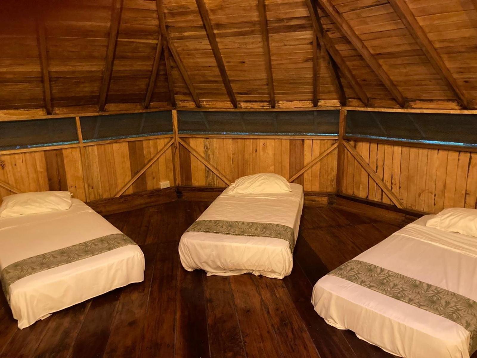 Single Bed in 10-Bed Dormitory Room