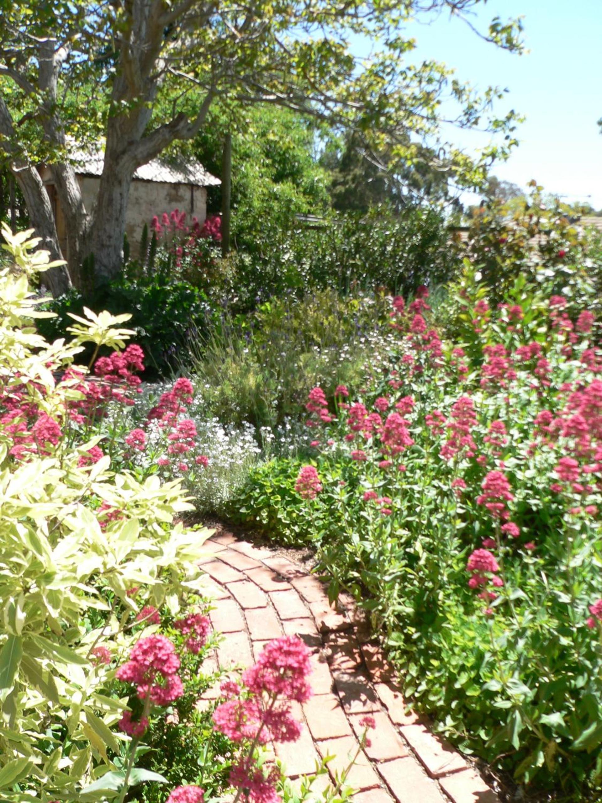 Two-Bedroom Cottage photo 2
