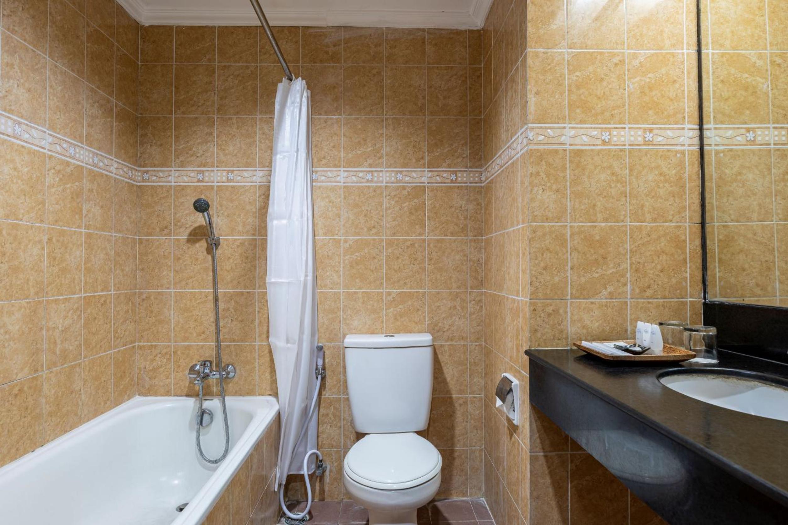 Deluxe Double Room photo 3