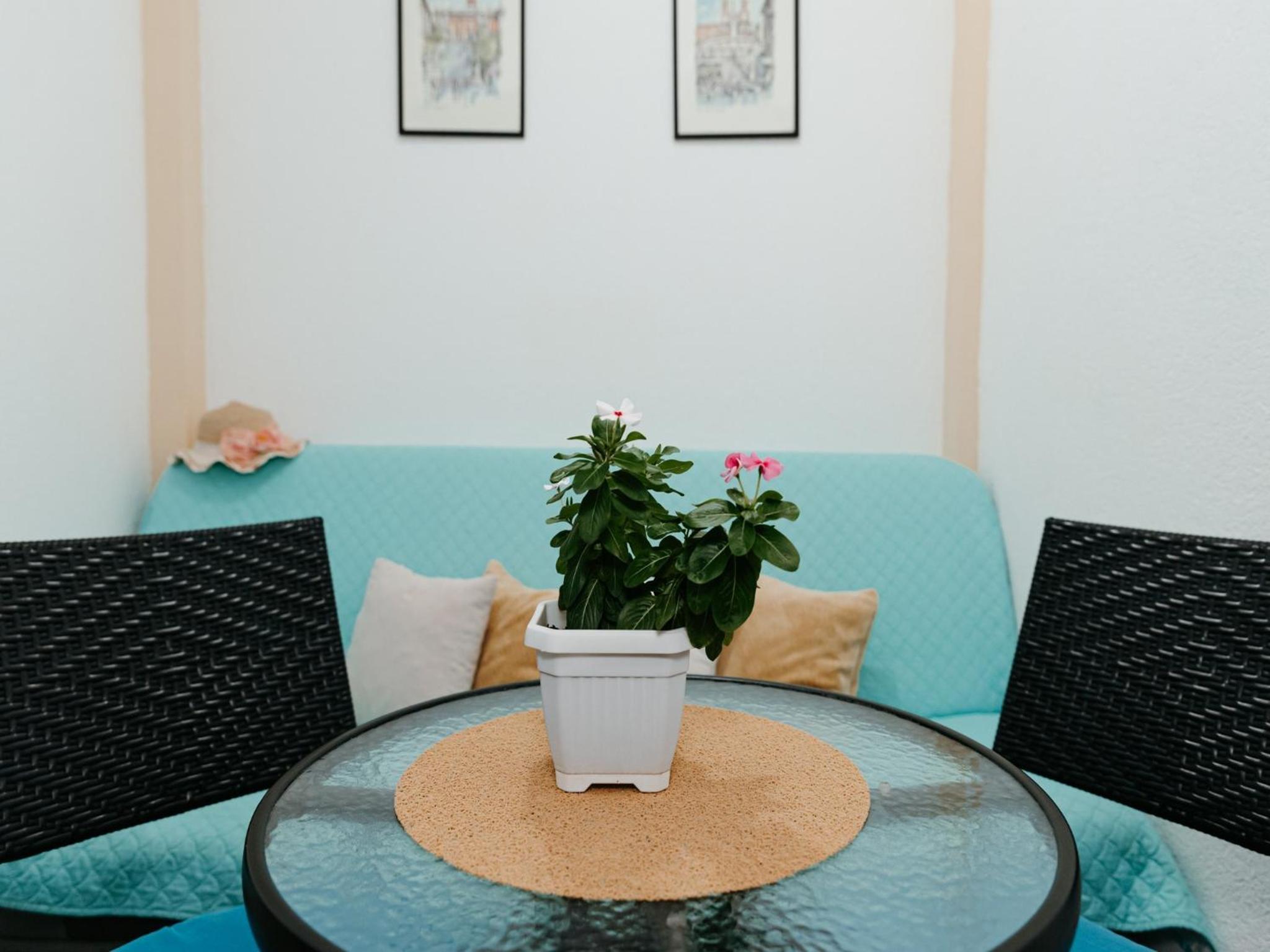 One Bedroom Apartment with Terrace - Photo 10