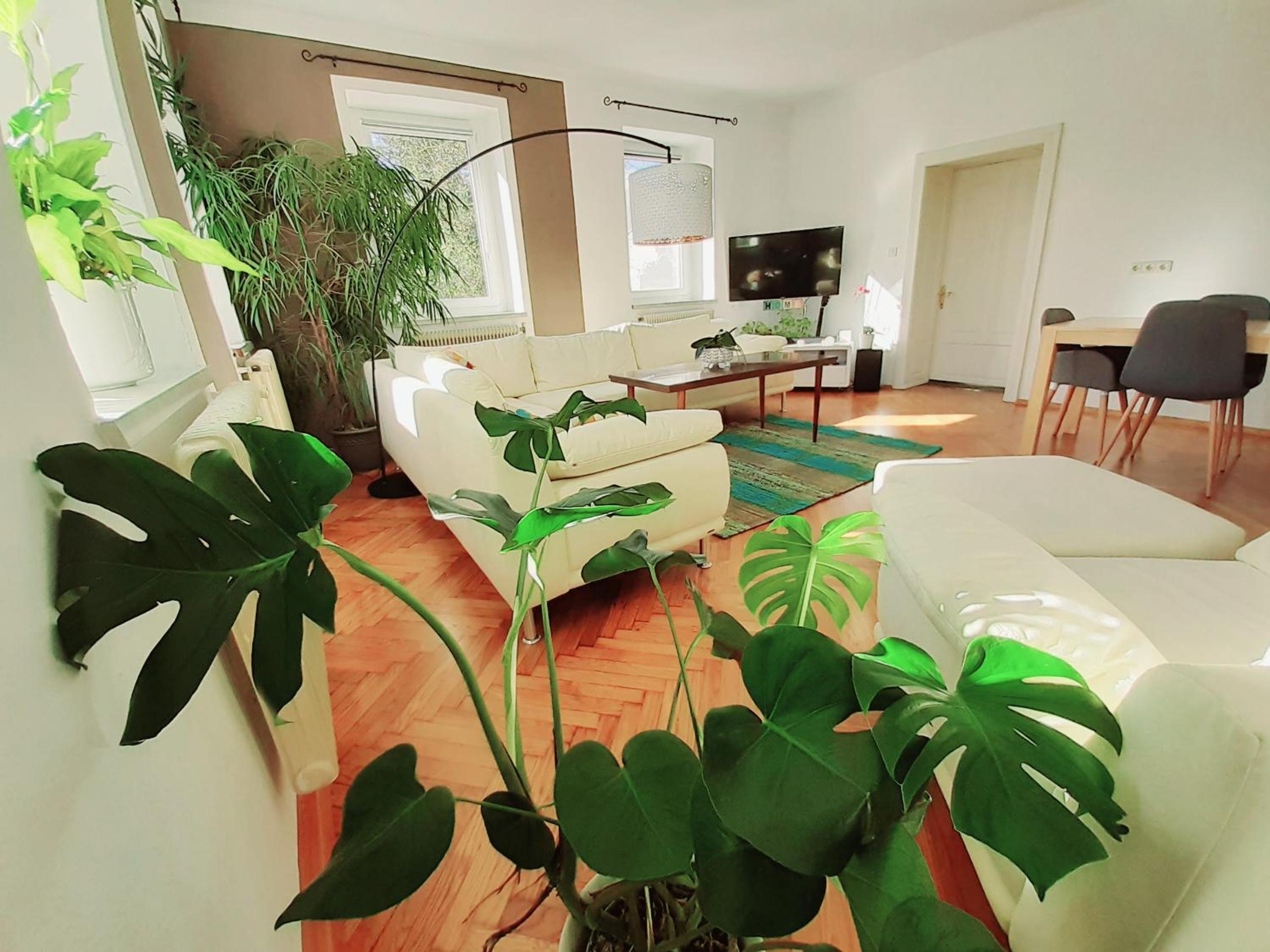 Two-Bedroom Apartment photo 3