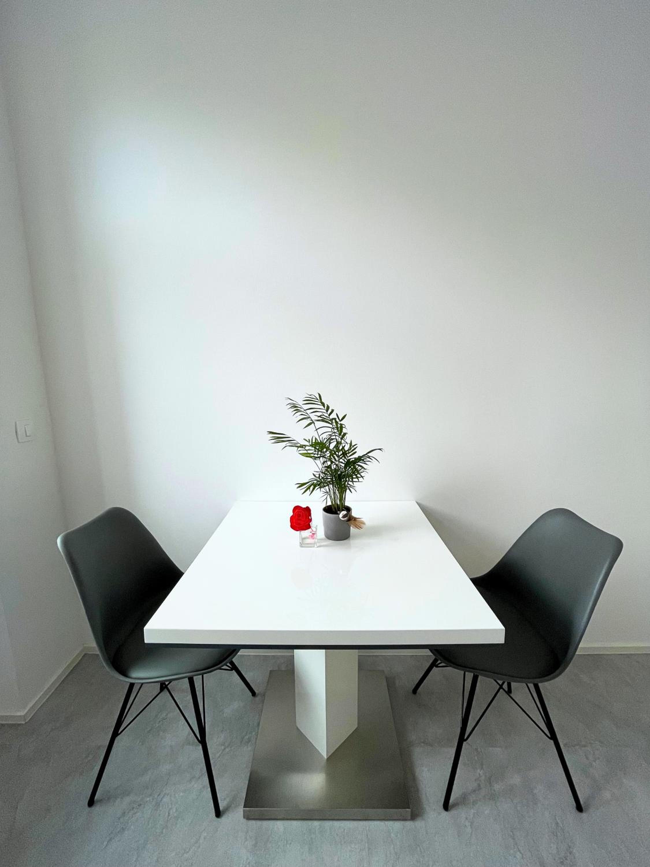 Standard Studio - Photo 11