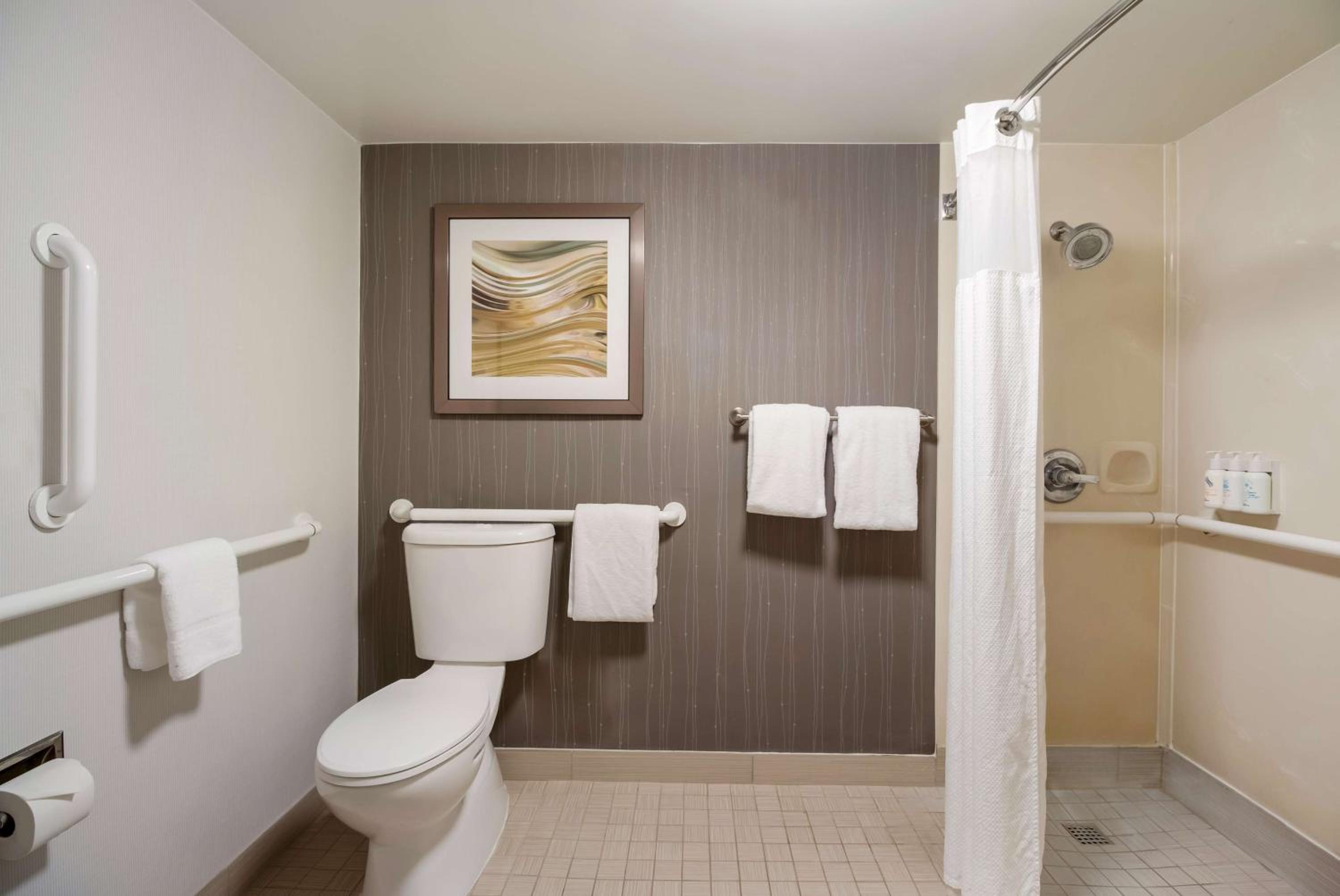 Mobility Accessible - Deluxe King with Roll-In Shower - Photo 3