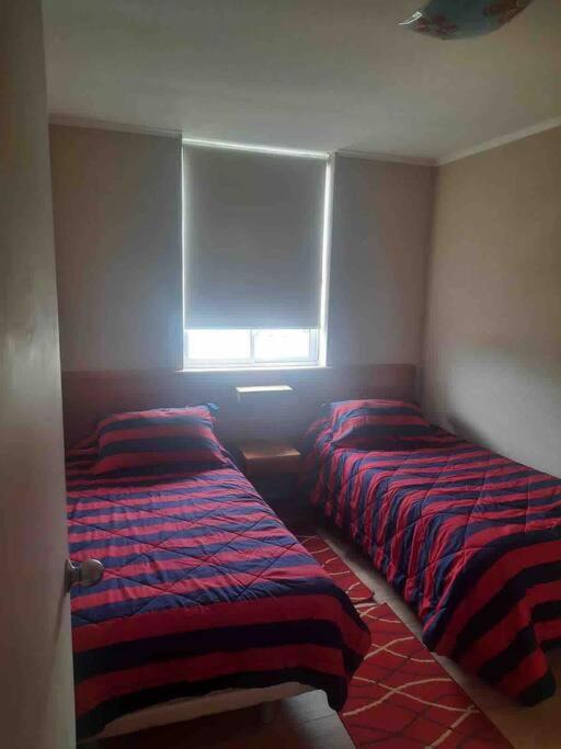 Three-Bedroom Apartment photo 2