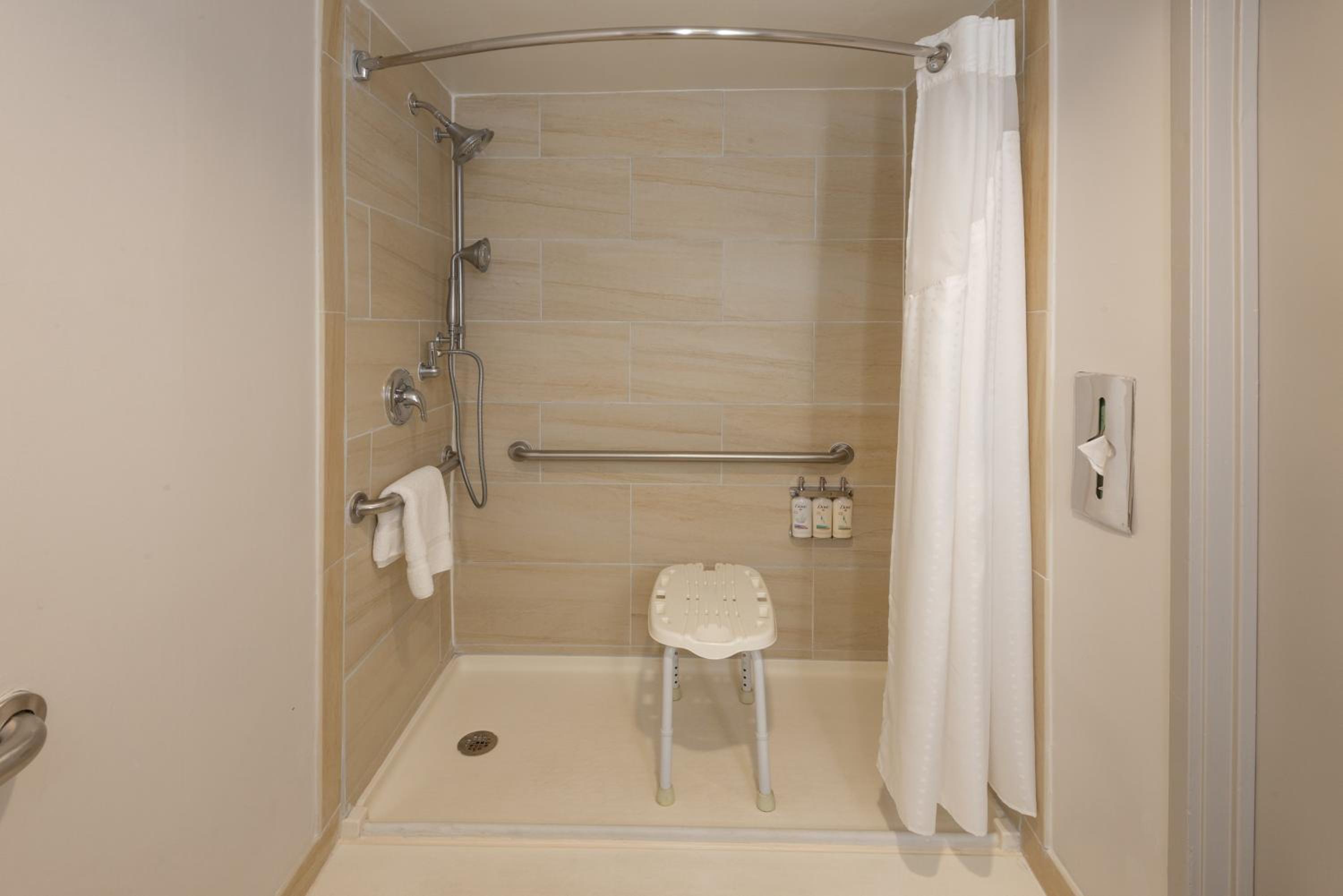 Queen Room - Disability Access Roll in Shower - Photo 5