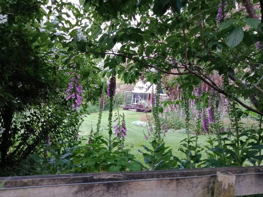 Deluxe Double Room with Bath photo 3