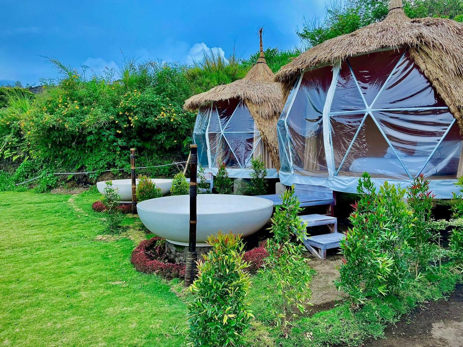 Suite Glamping - Photo 4