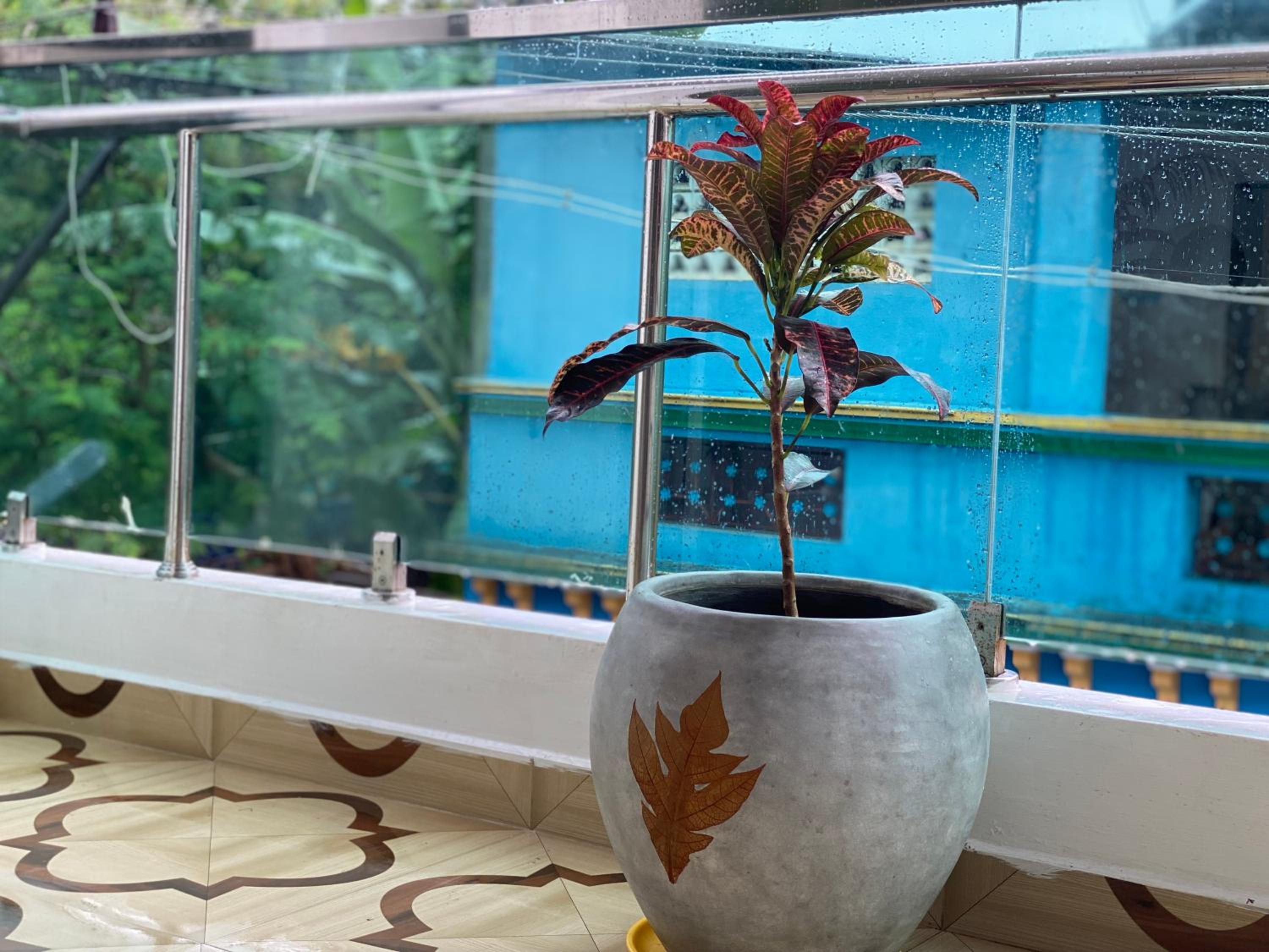 Superior Villa - Photo 18