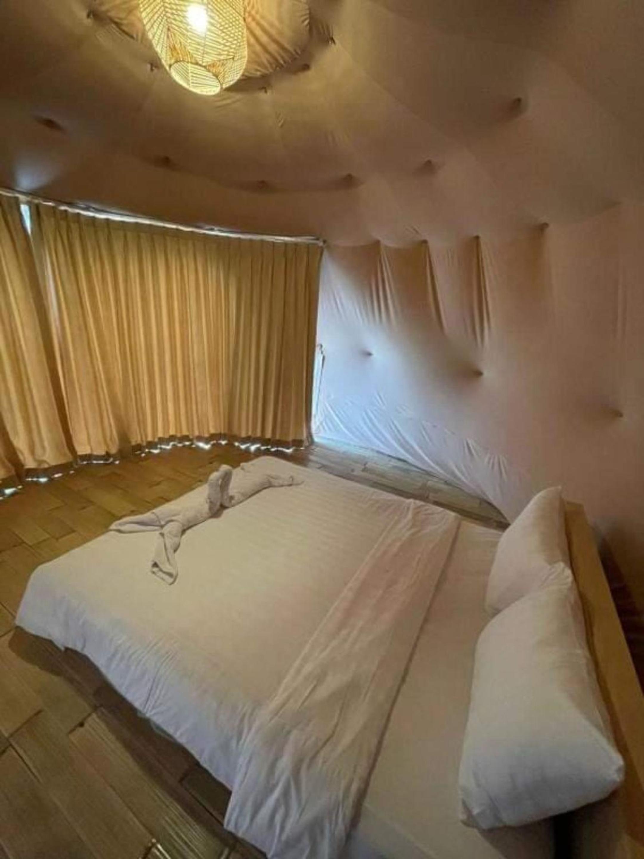 Suite Glamping - Photo 2