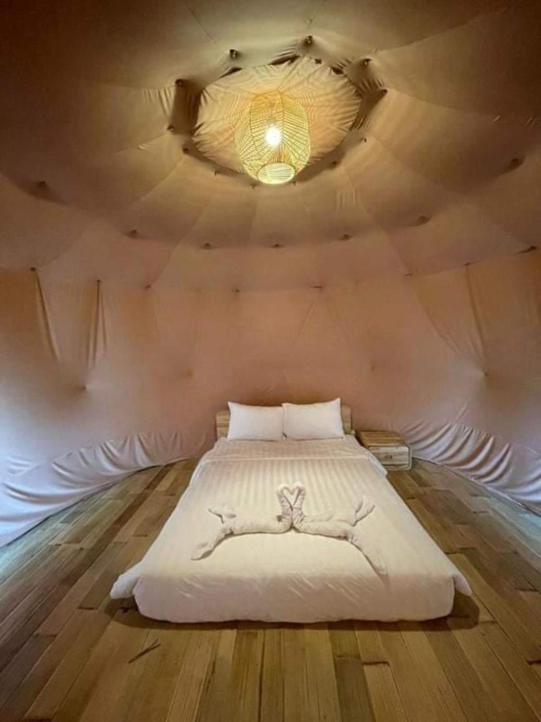 Suite Glamping - Photo 3