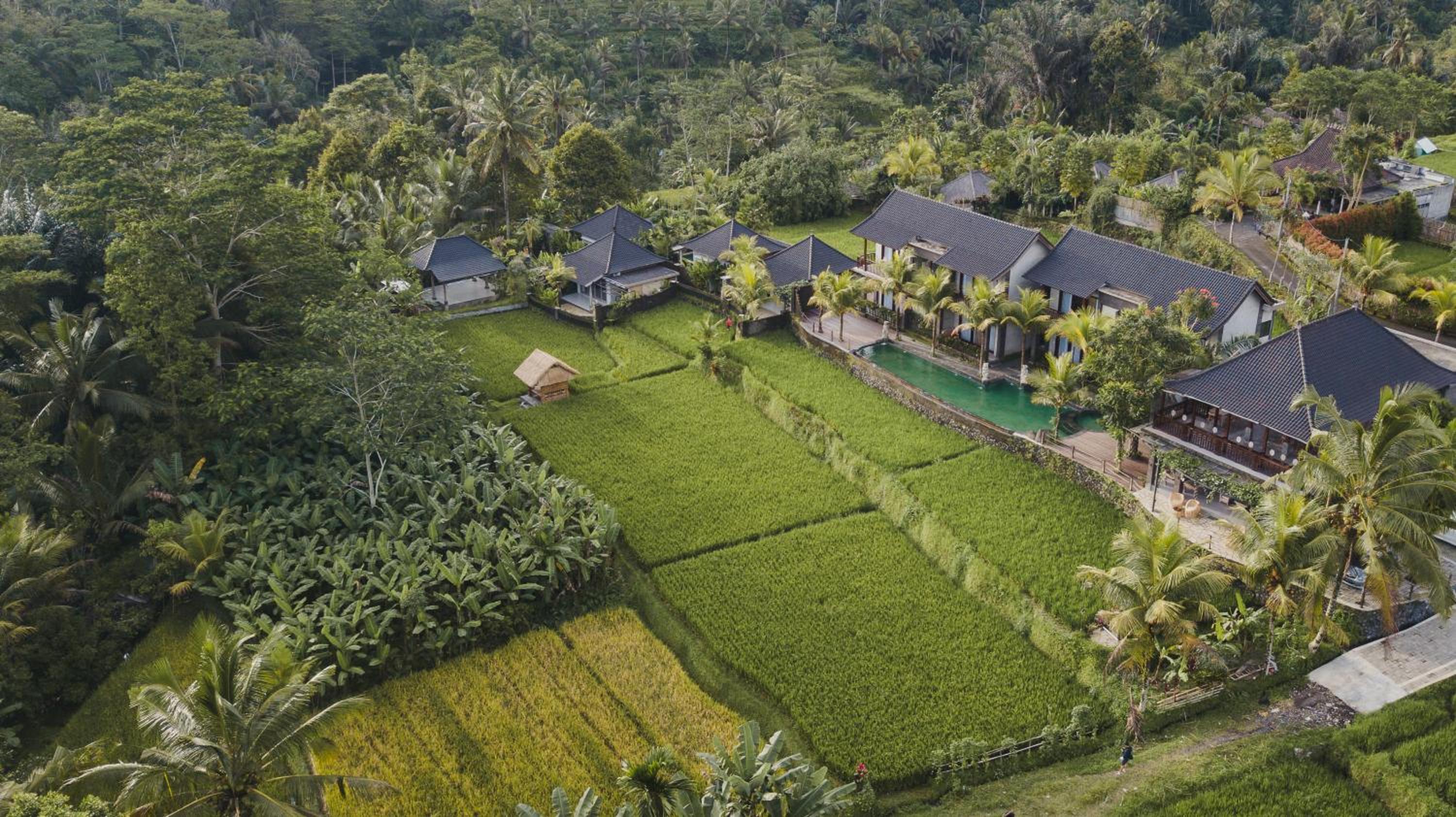 Luxury Villa - Photo 37