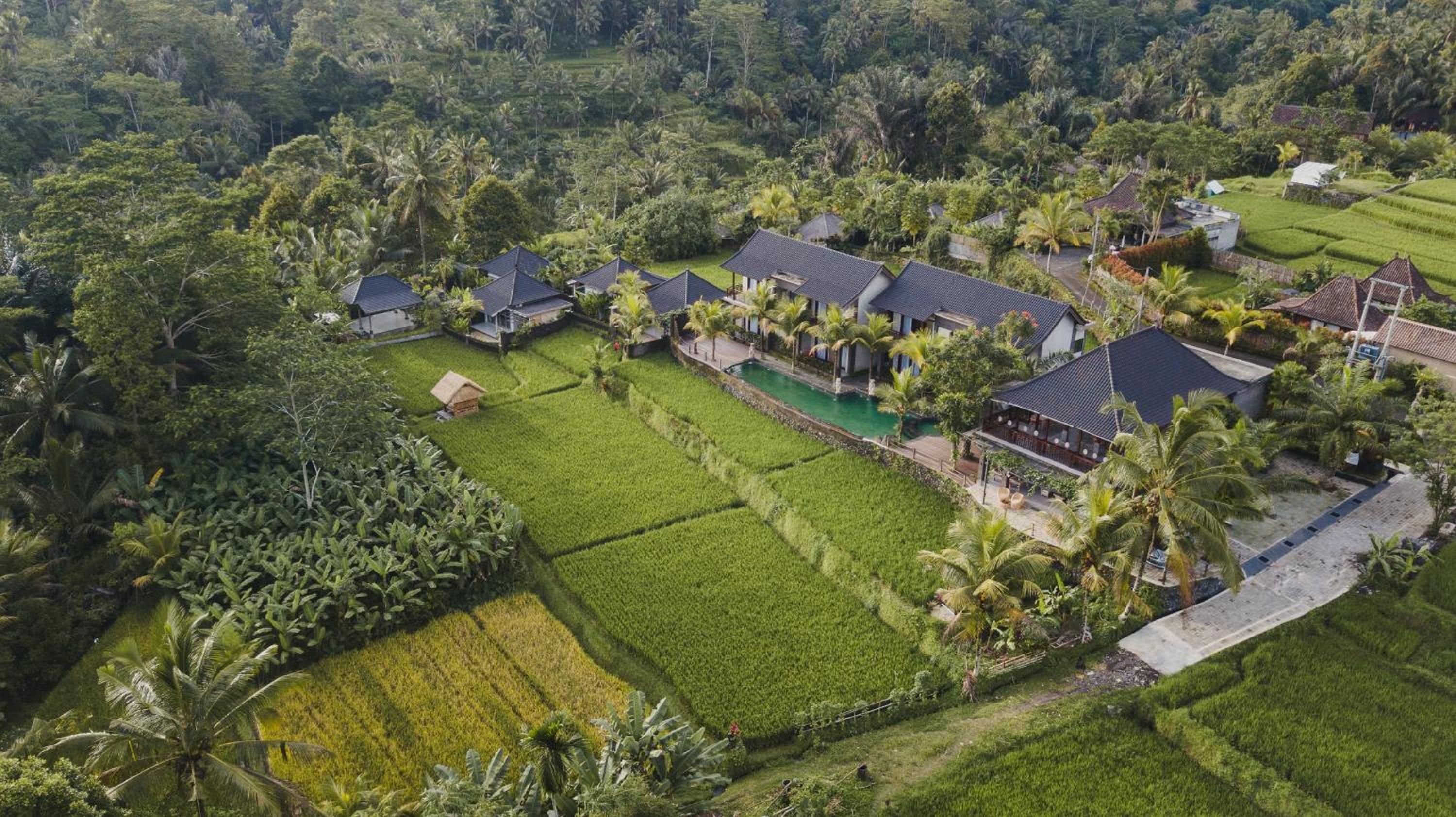 Luxury Villa - Photo 36