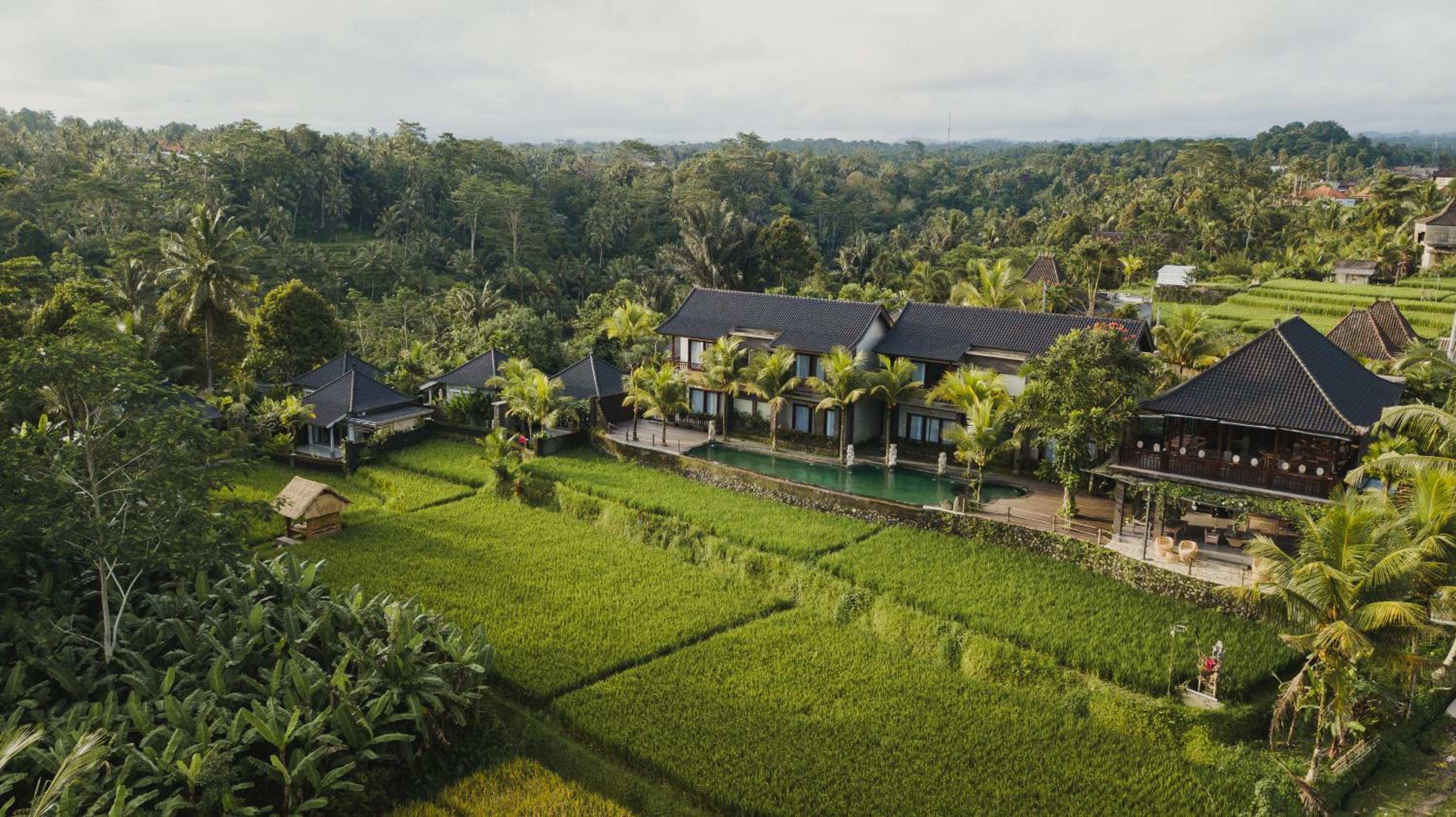 Luxury Villa - Photo 8