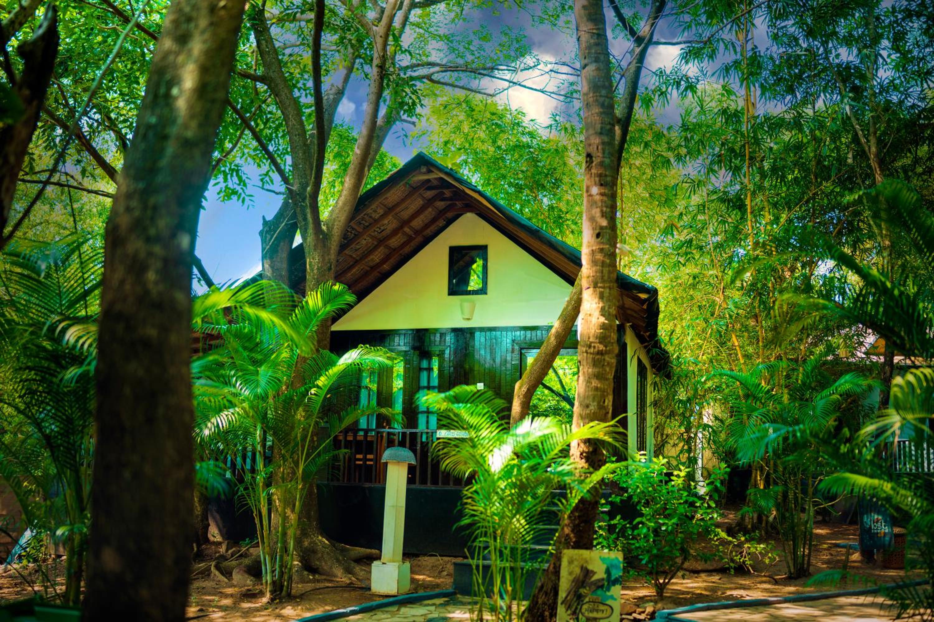Deluxe Villa photo 3