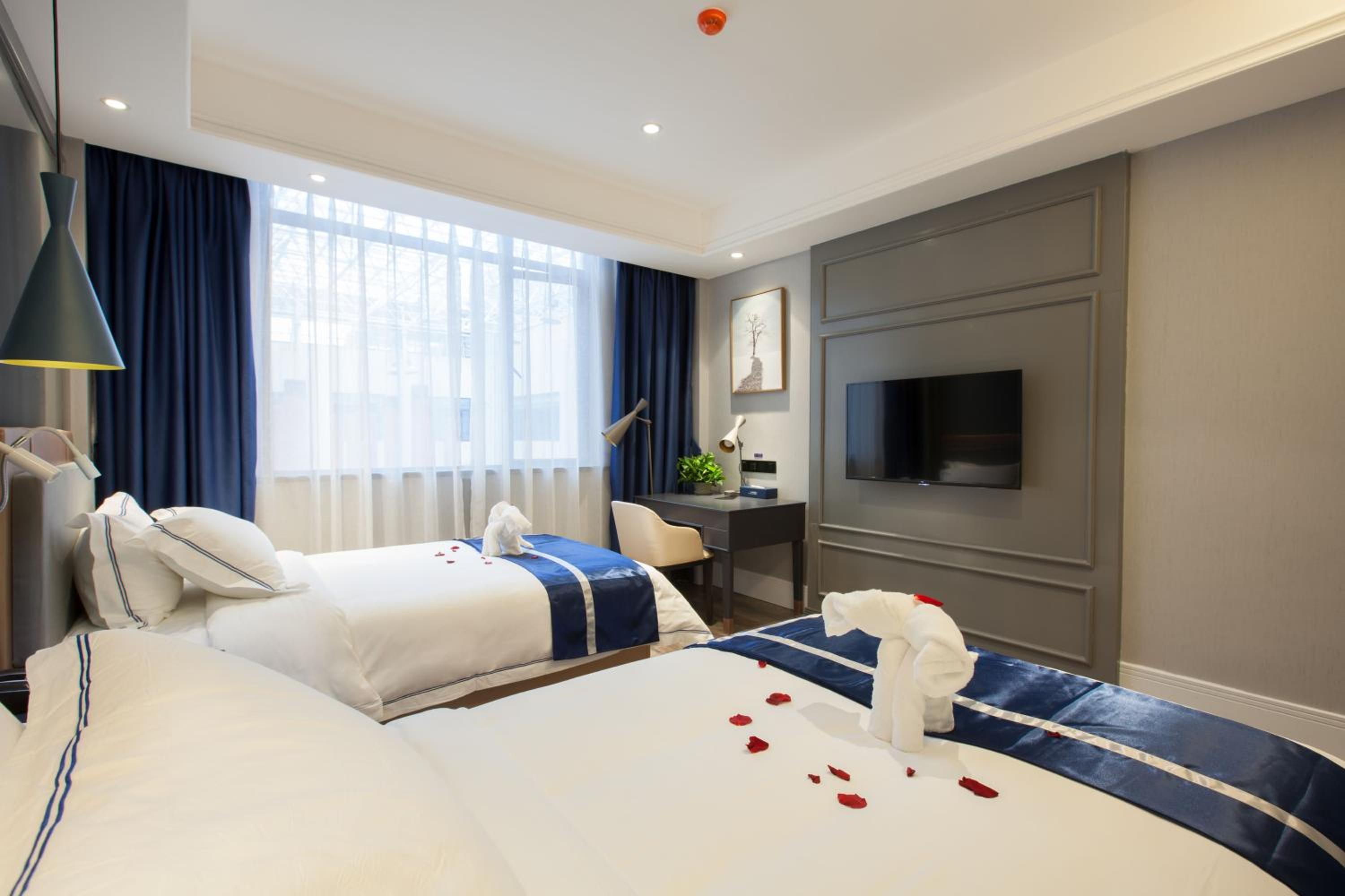Deluxe Twin Room  photo 1