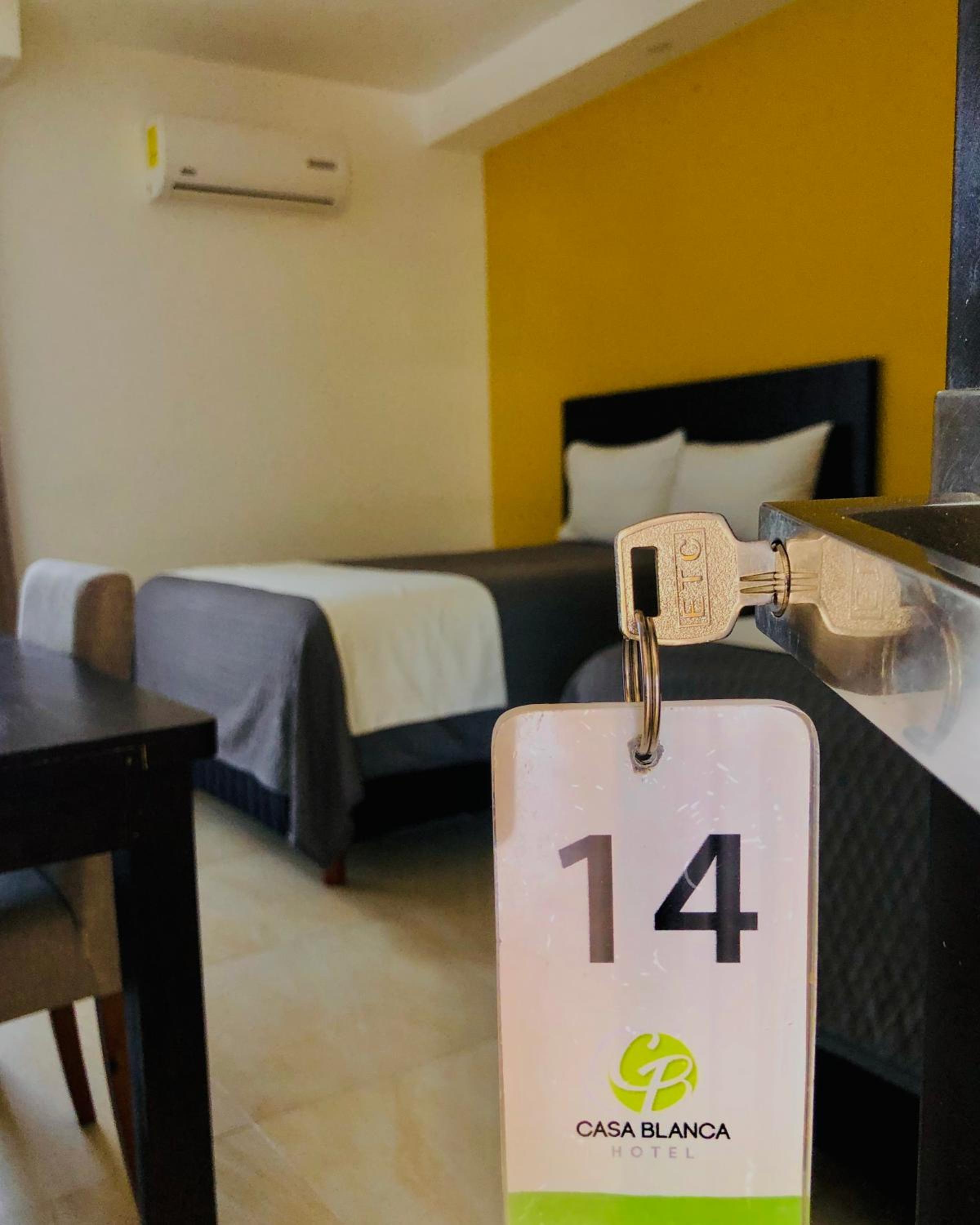 Twin Room photo 3