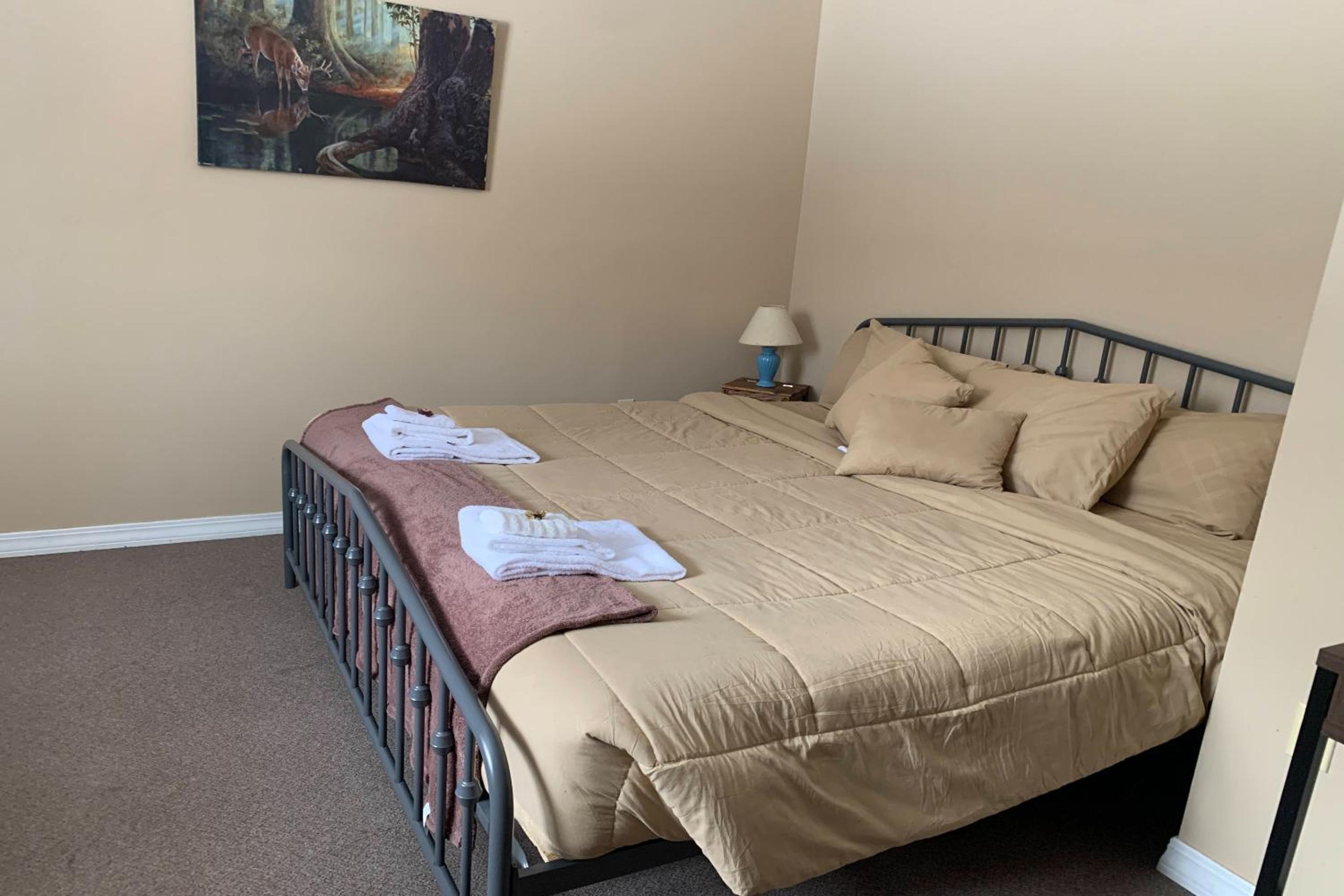 King Bed Riverfront Efficiency	 - Photo 16