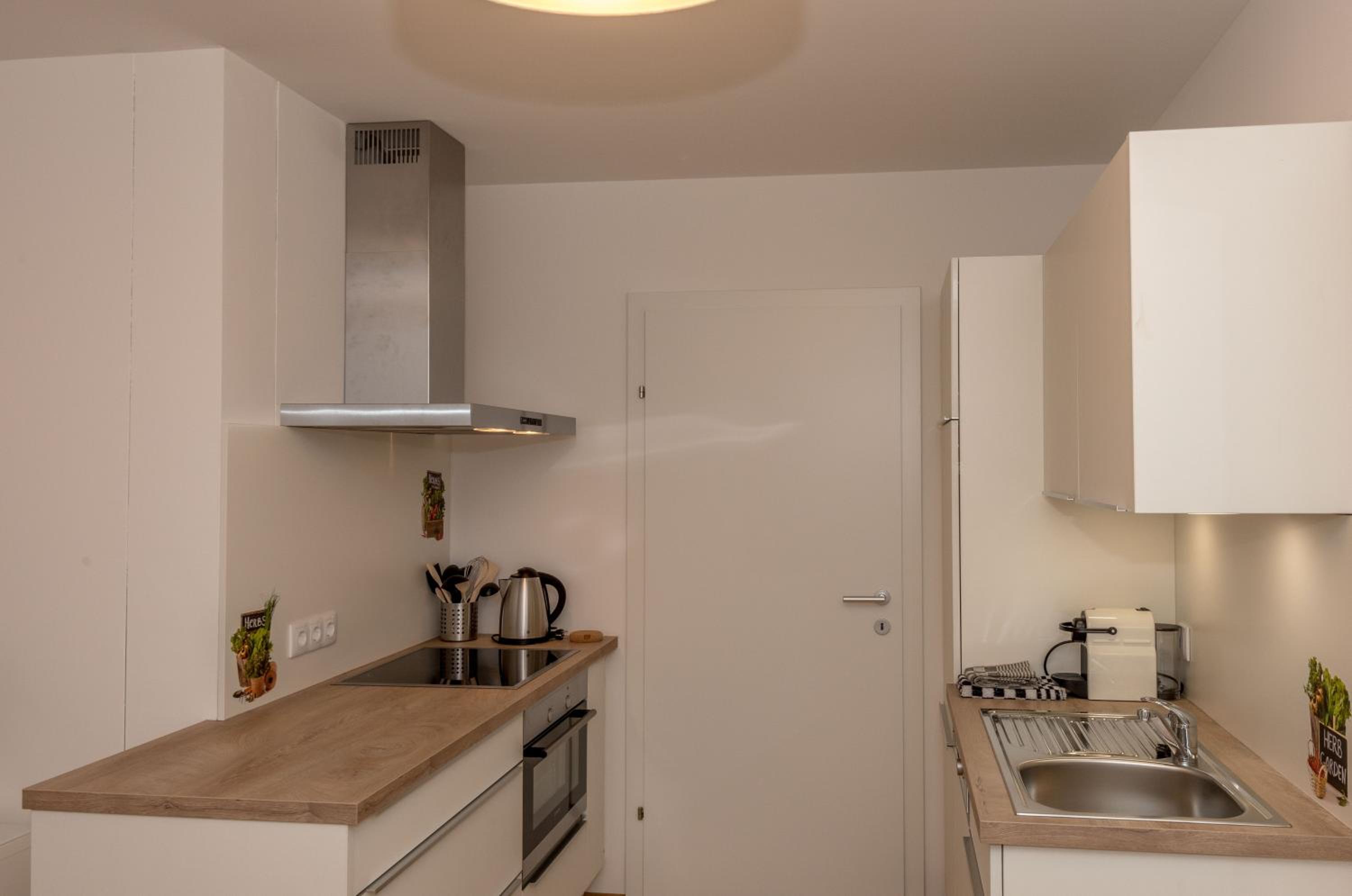 Apartment with Terrace photo 2