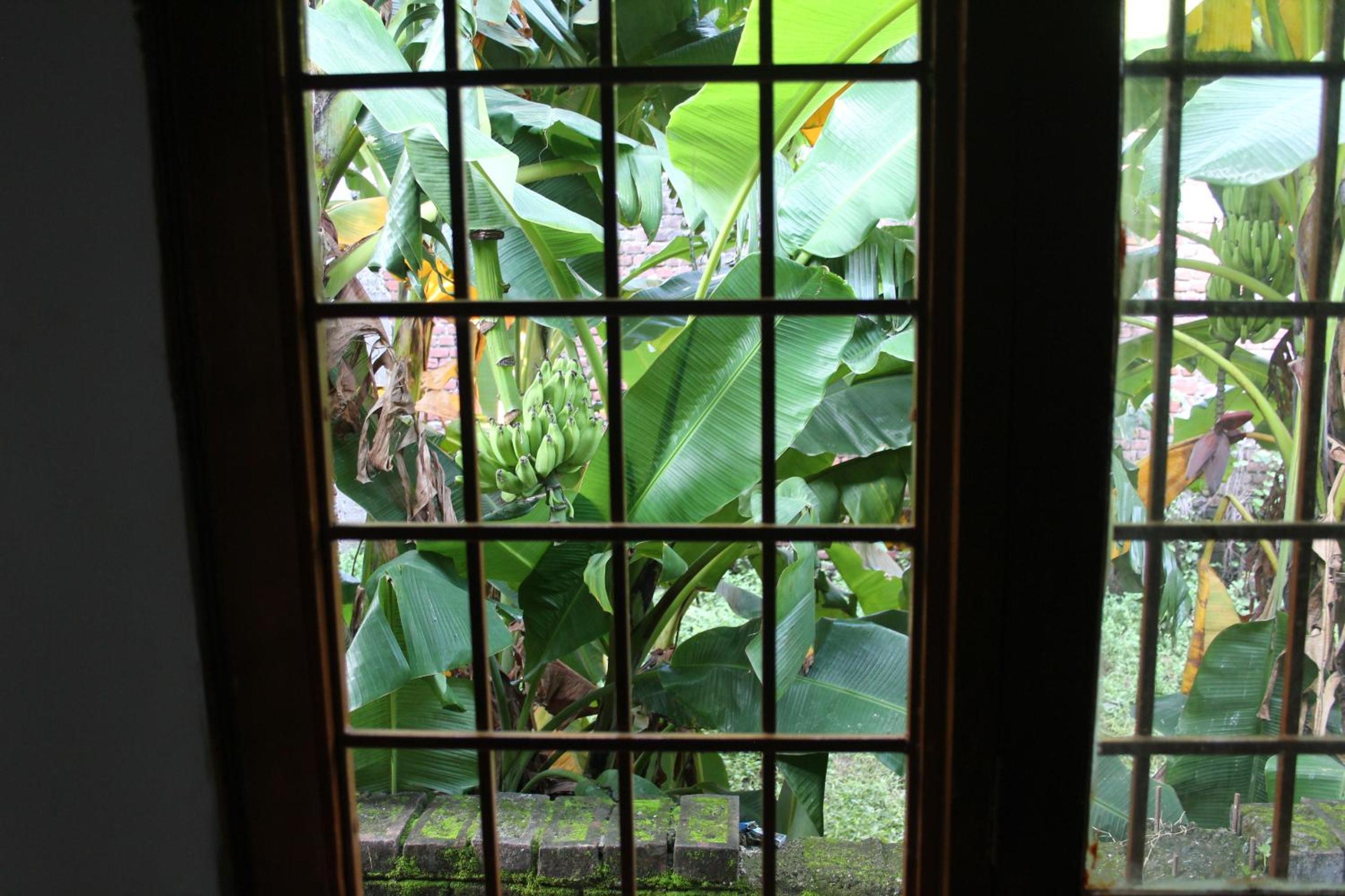 Deluxe Double or Twin Room with Garden View - Photo 24
