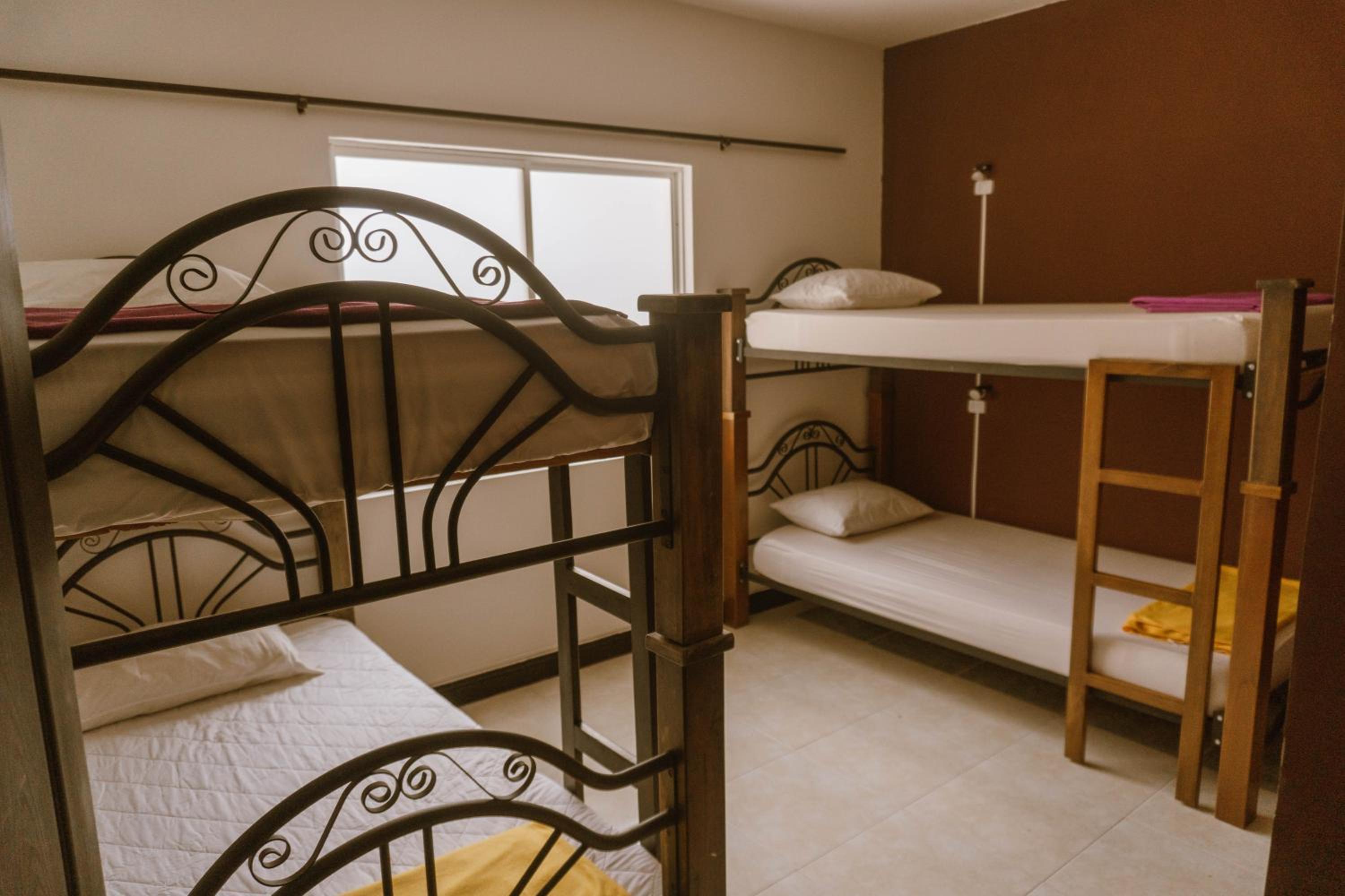 Bed in 4-Bed Female Dormitory Room photo 1