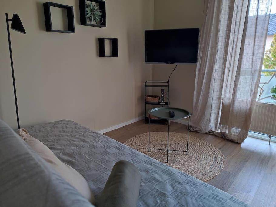 One-Bedroom Apartment photo 3