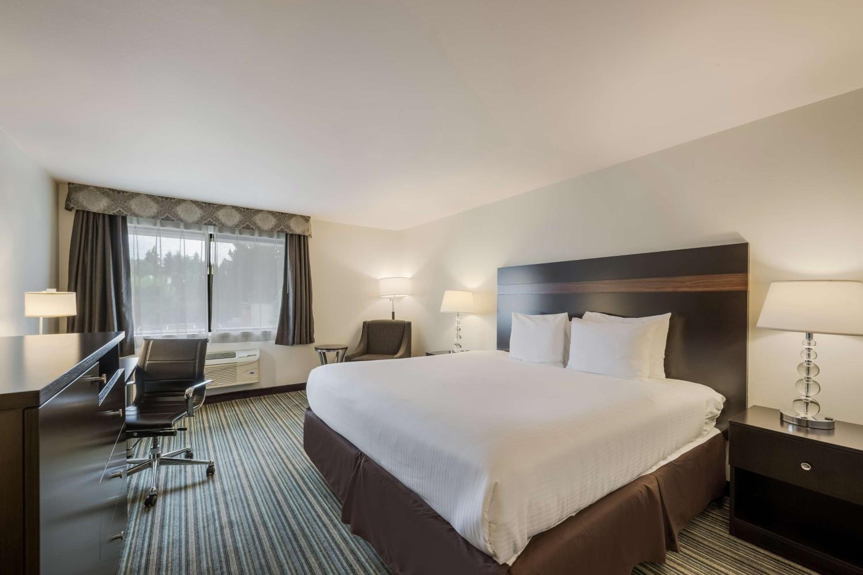 King Room - Non-Smoking - Photo 1
