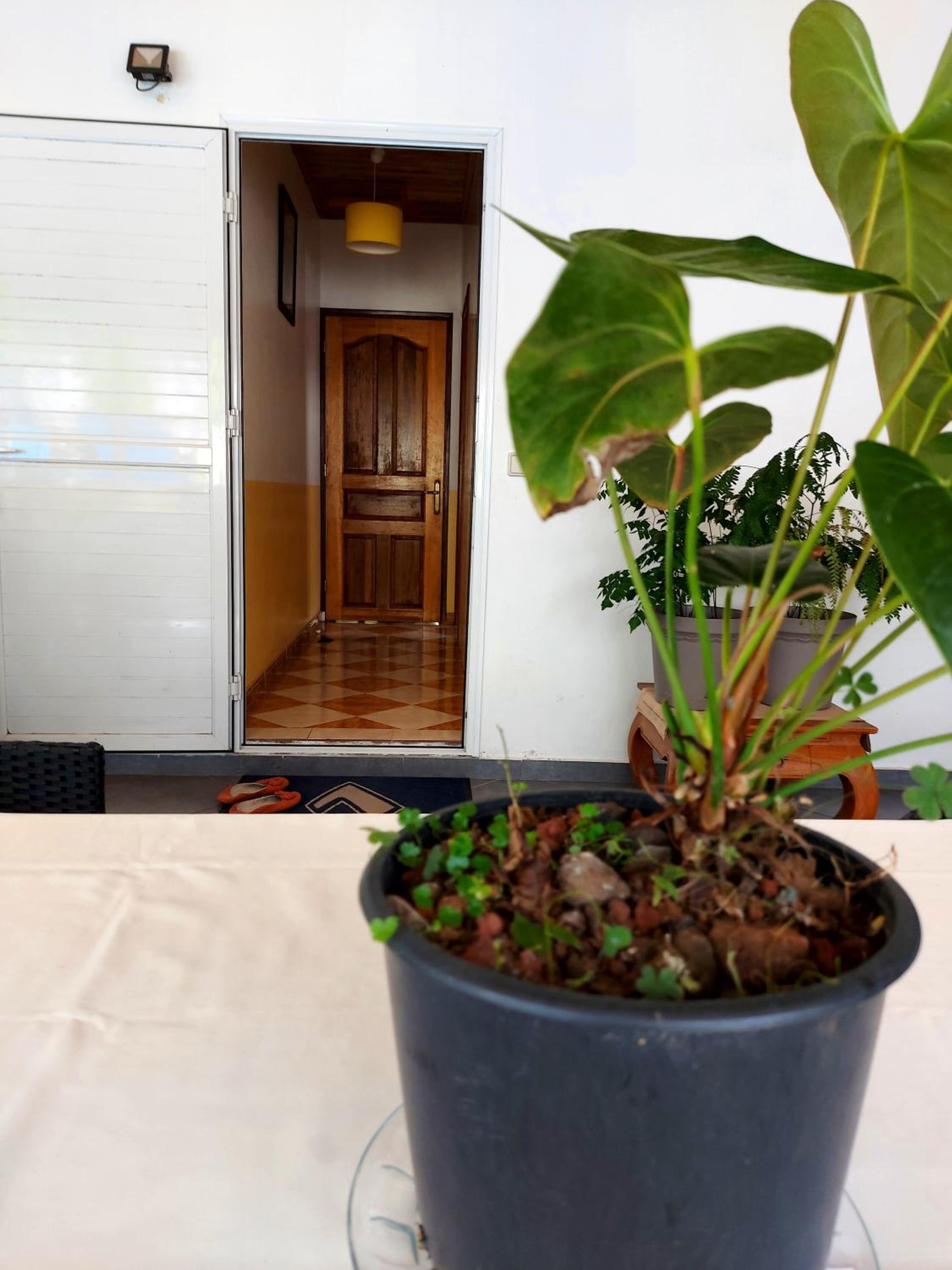 Double Room - Photo 7