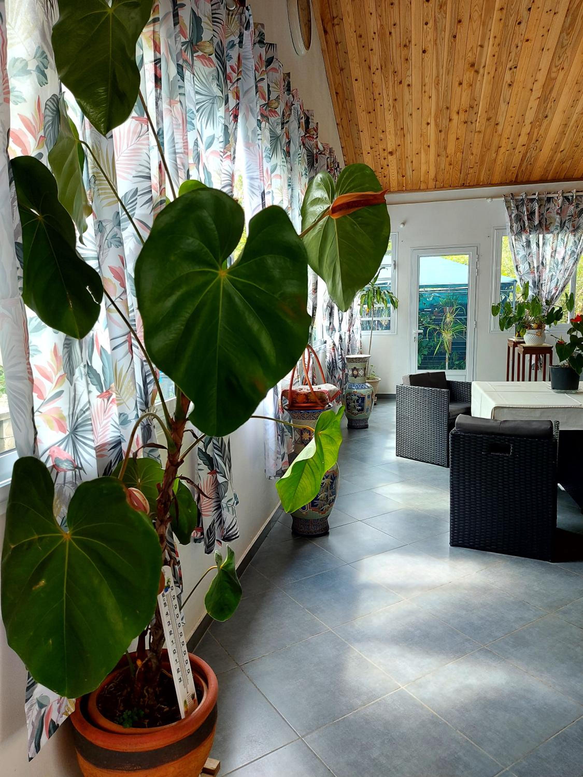Double Room - Photo 11