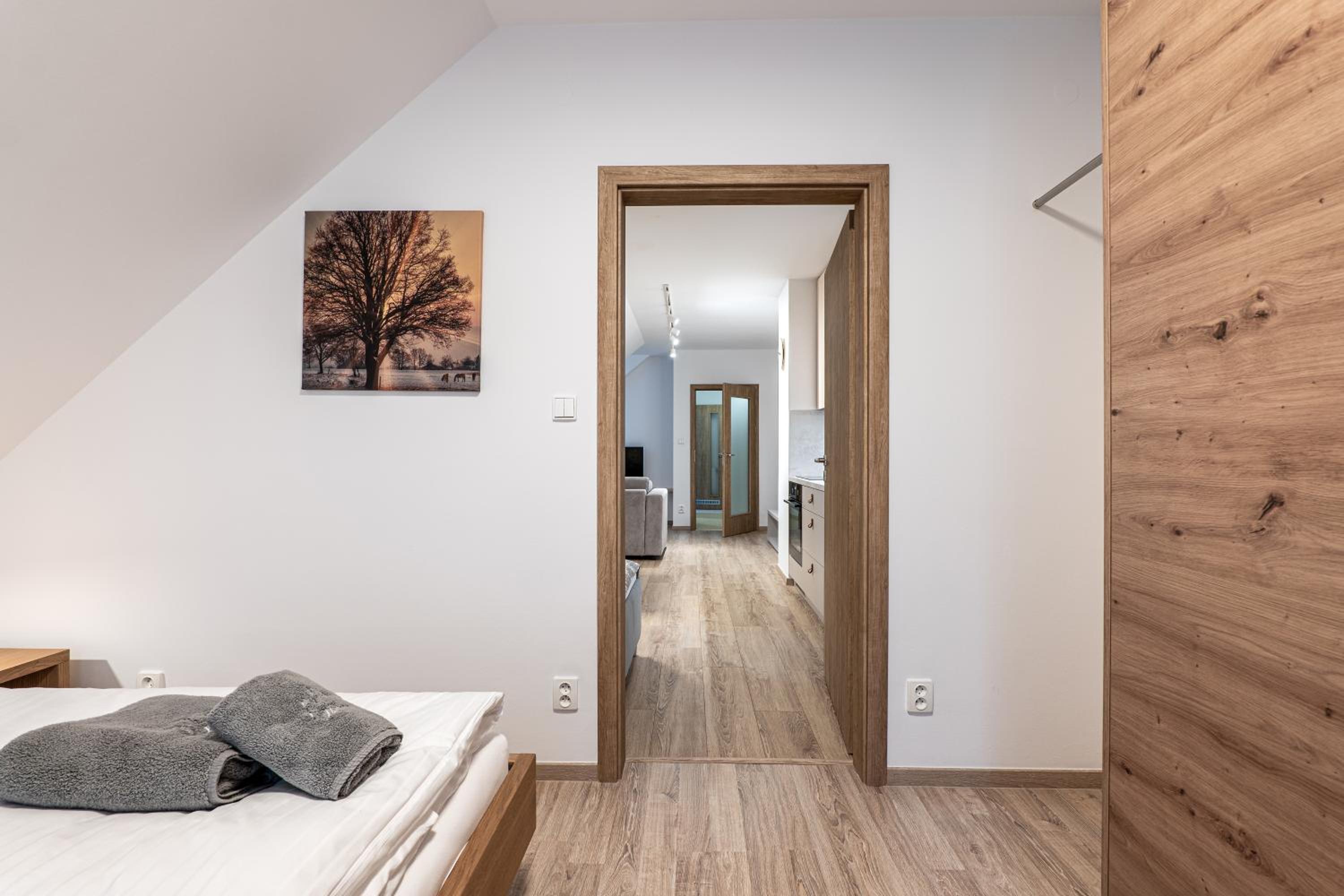 Standard Apartment photo 2