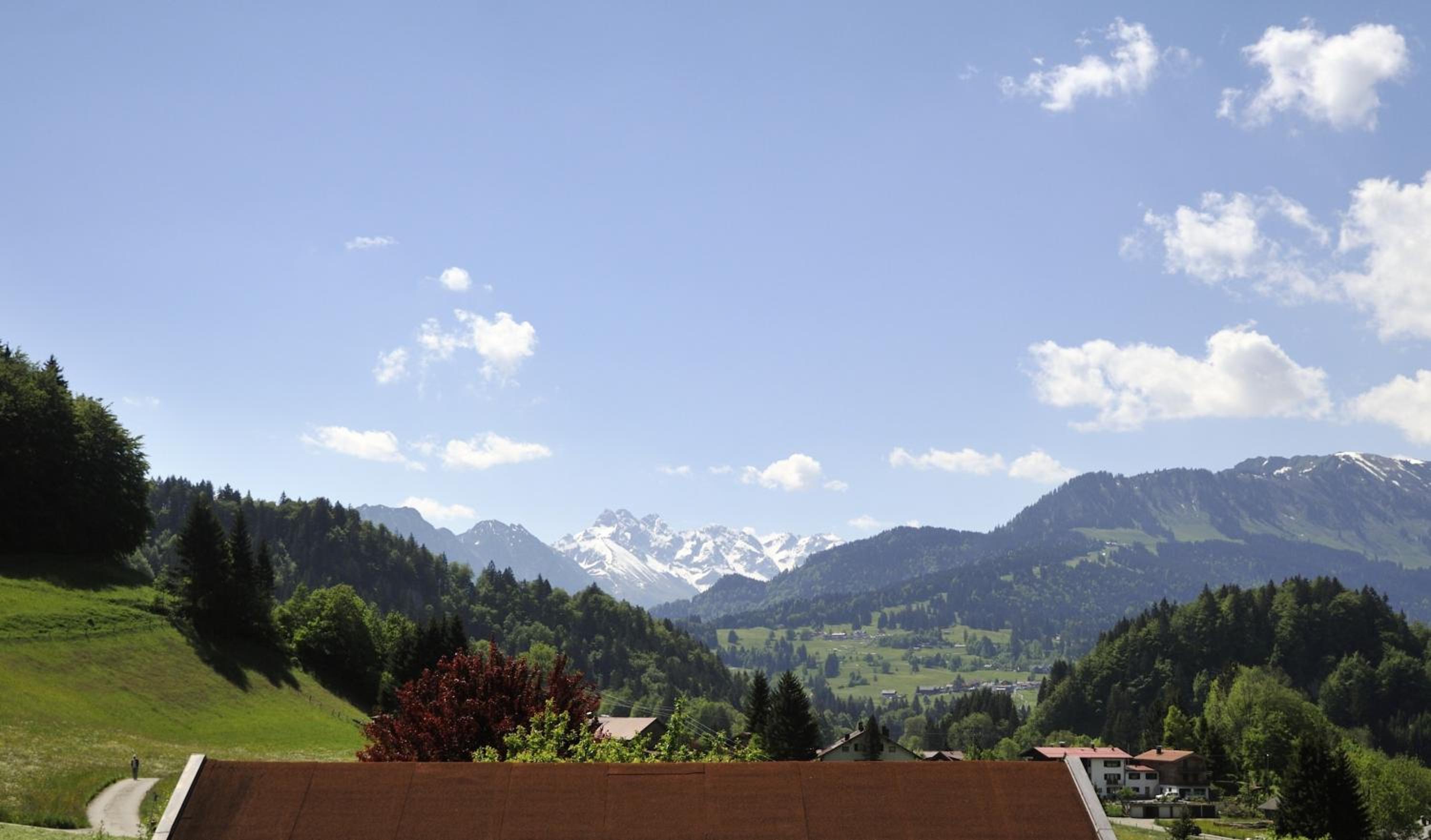 One-Bedroom Apartment with Balcony photo 2