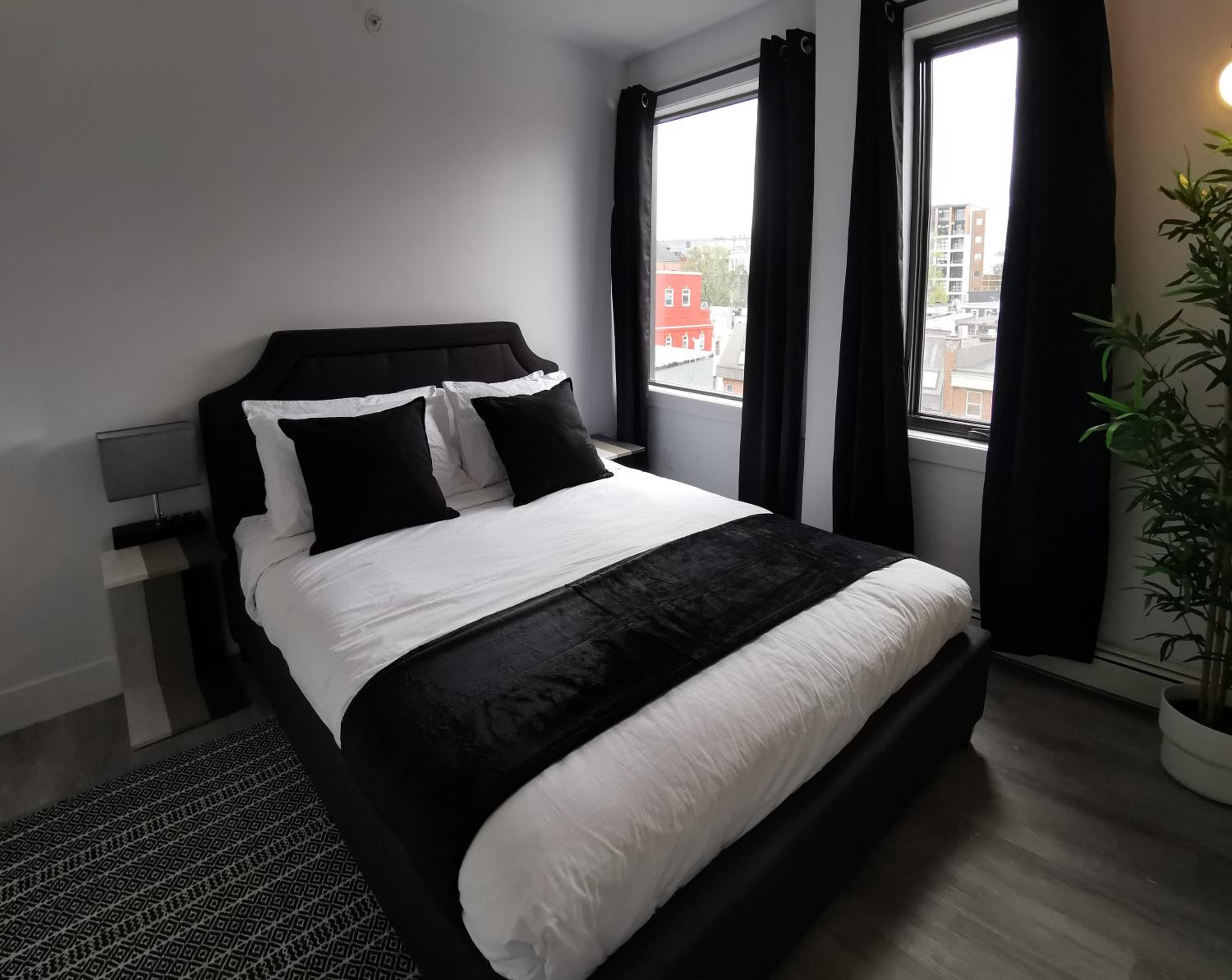 Executive Suite - Photo 1