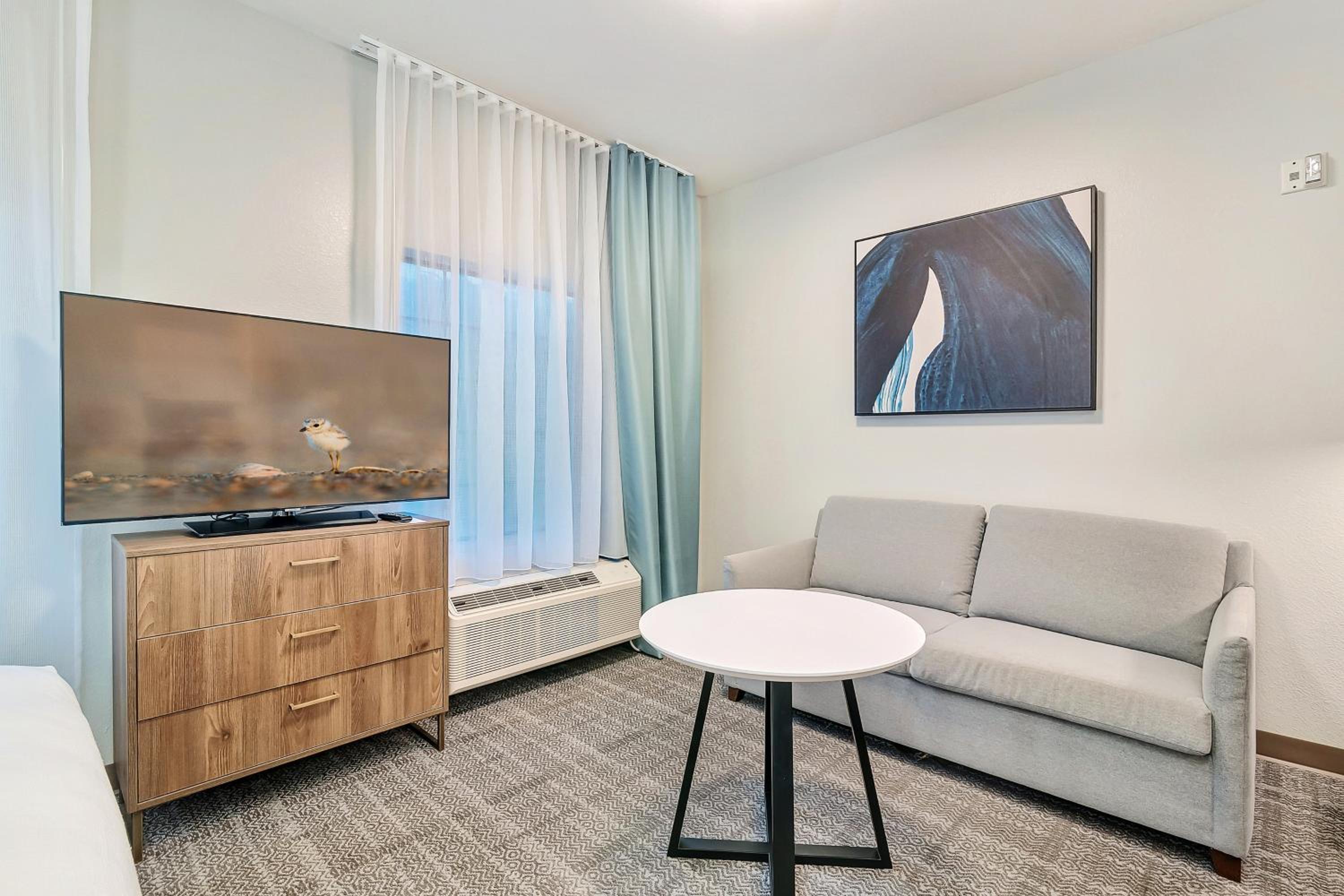 Studio Suite - Photo 6