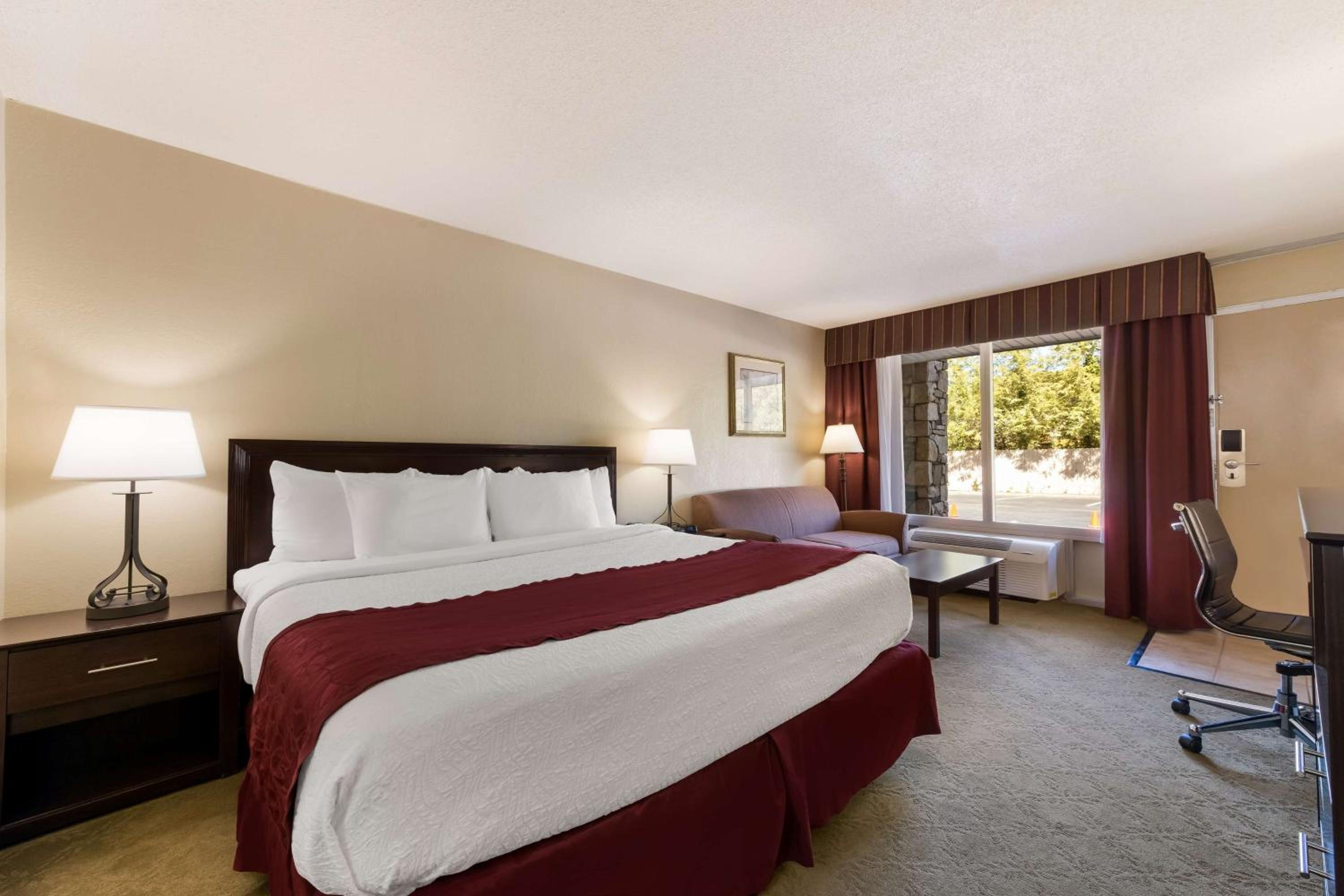 King Room - Pet Friendly/Non-Smoking photo 3