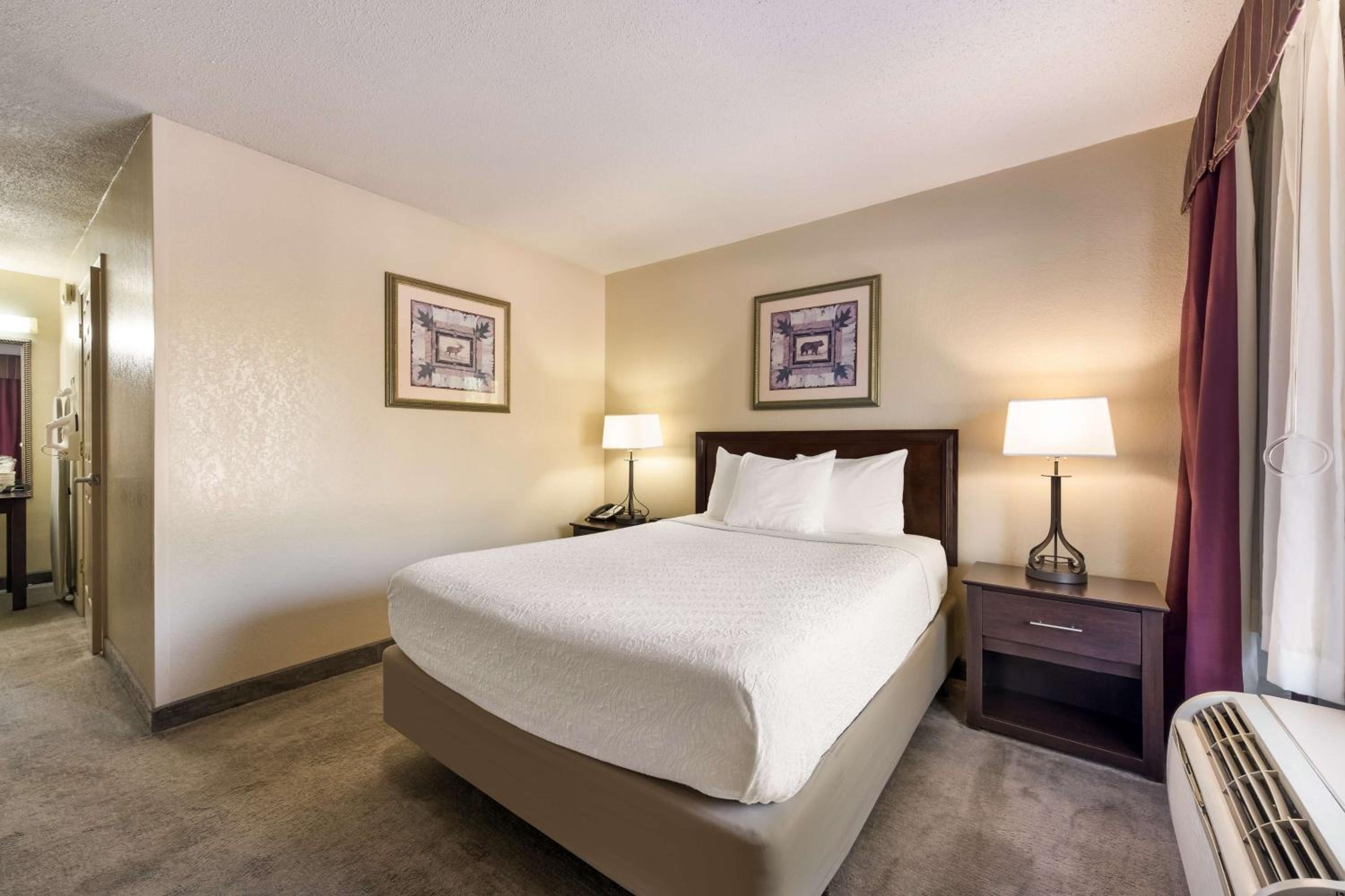 Queen Room with Roll-In Shower - Mobility Accessible/Non-Smoking photo 1