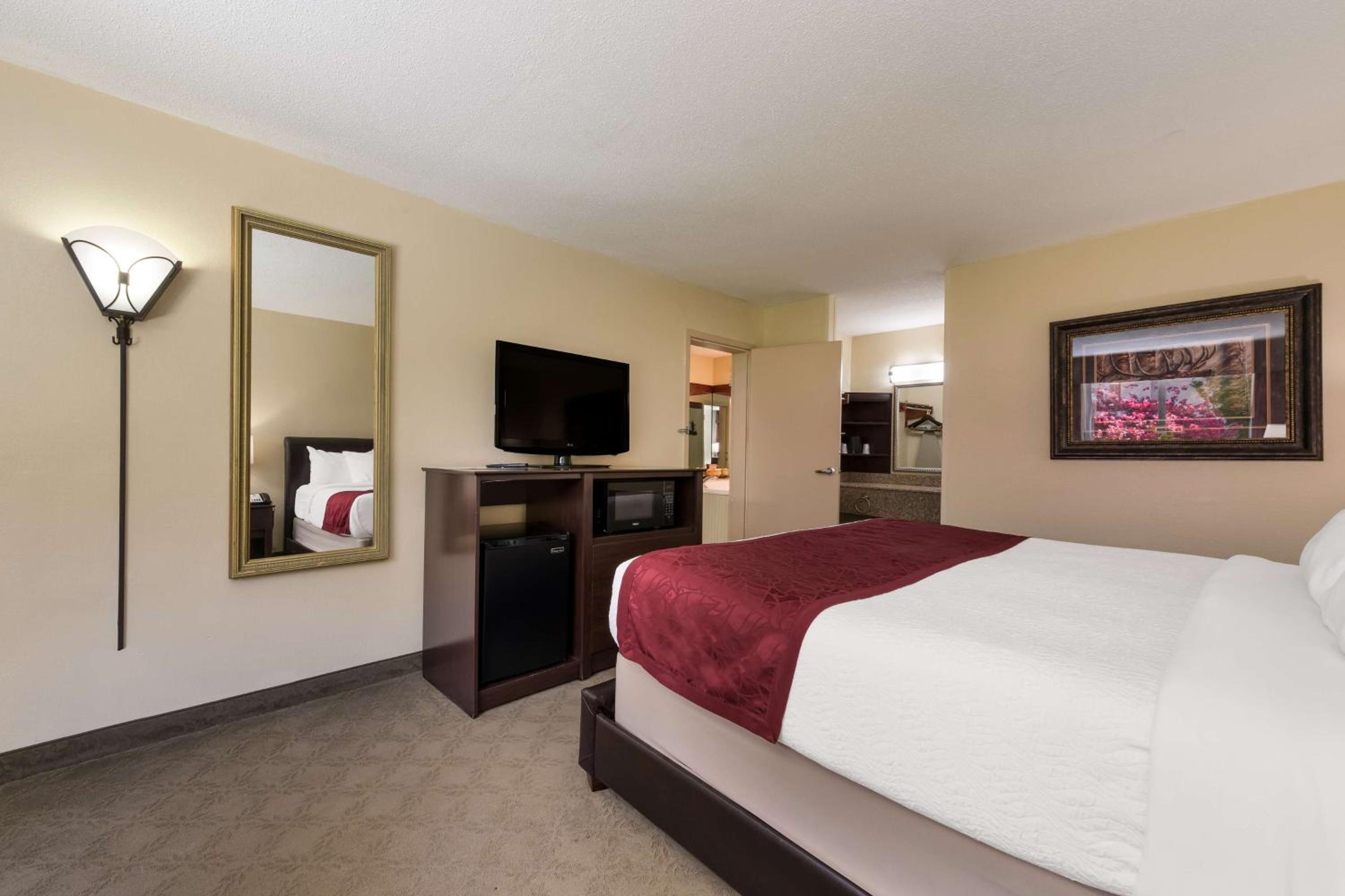 King Suite with Roll-In Shower and Sofabed - Mobility Accessible/Non-Smoking photo 2