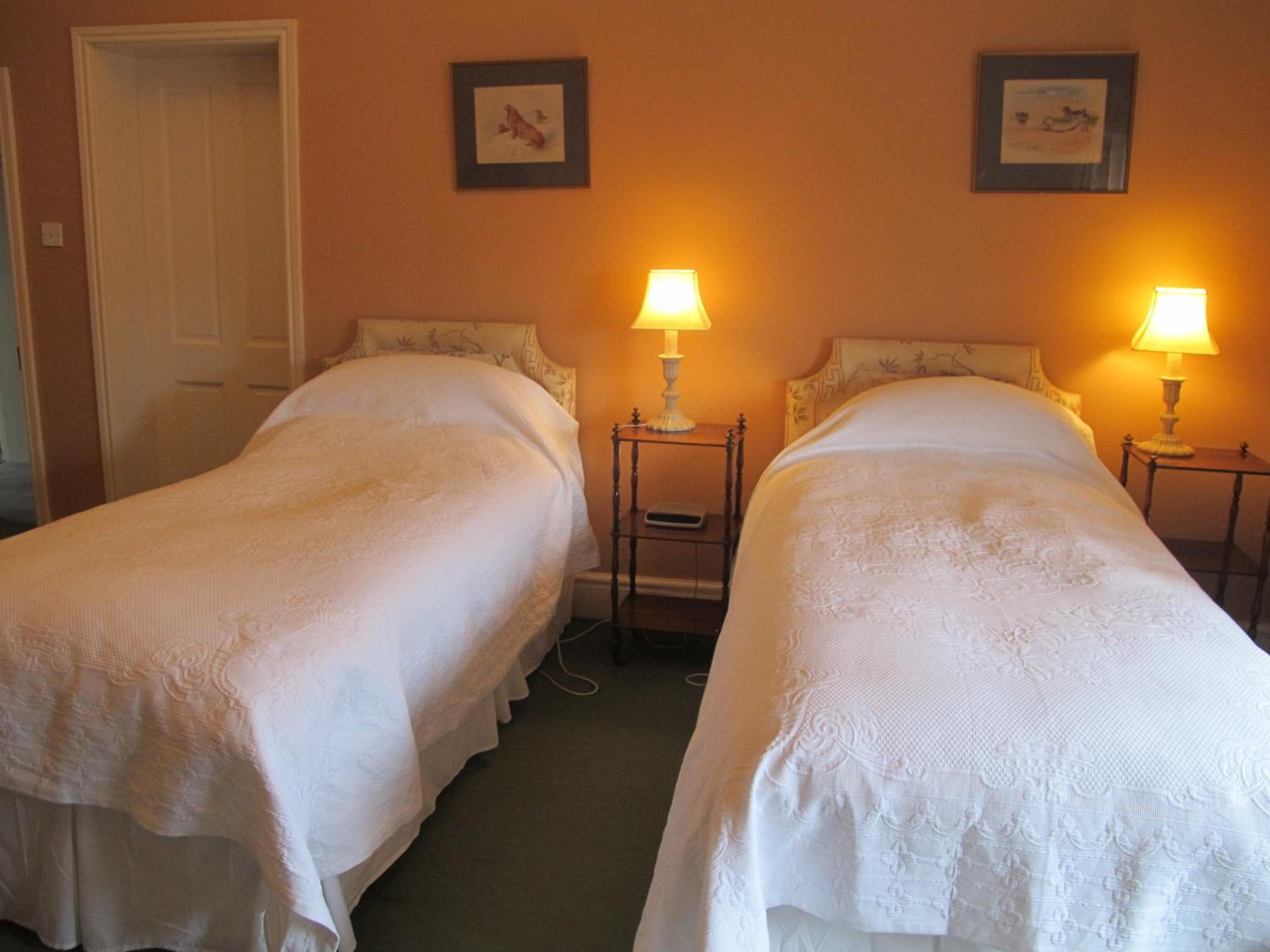 Superior Twin Room photo 2