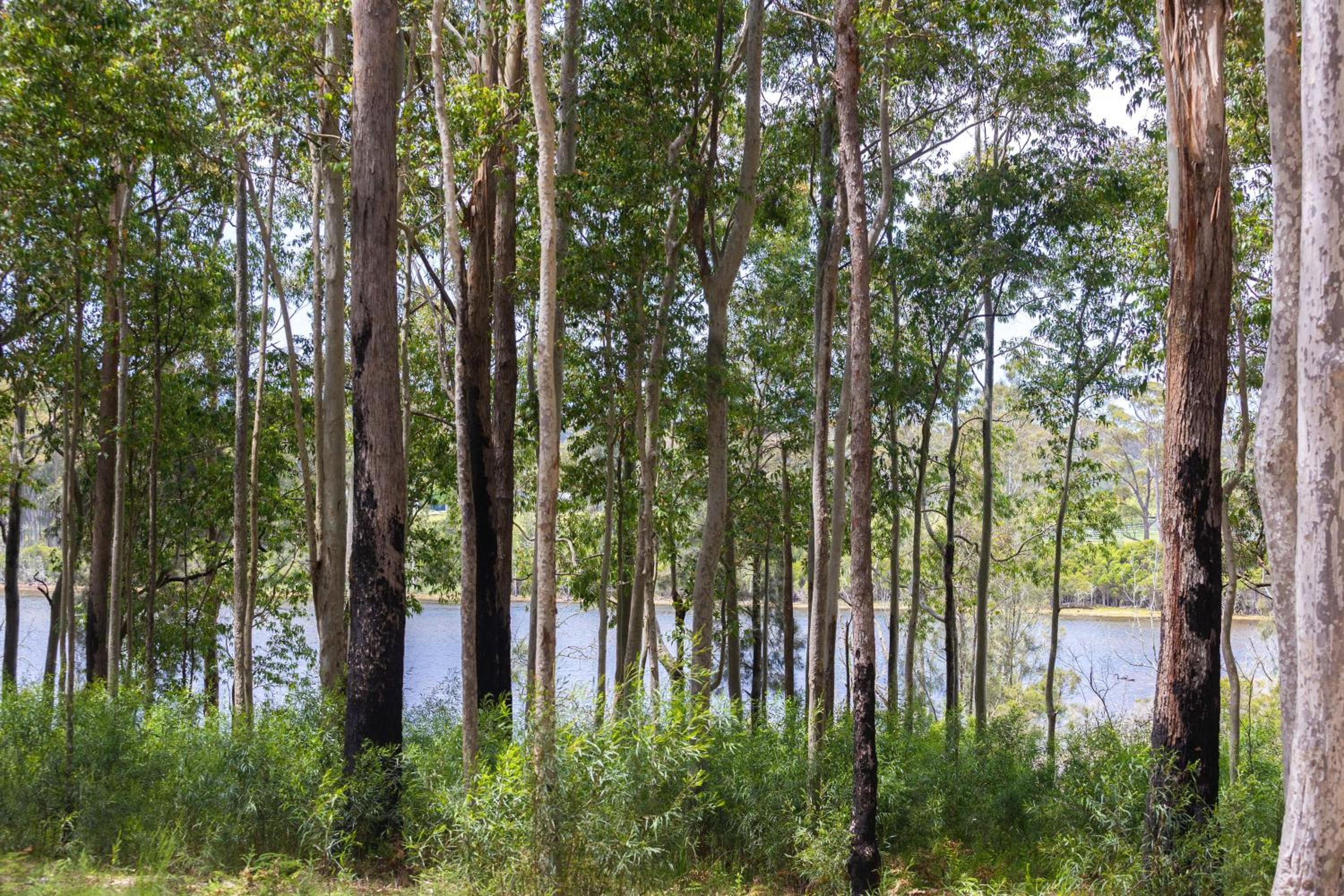 Double Room with Lake View photo 3